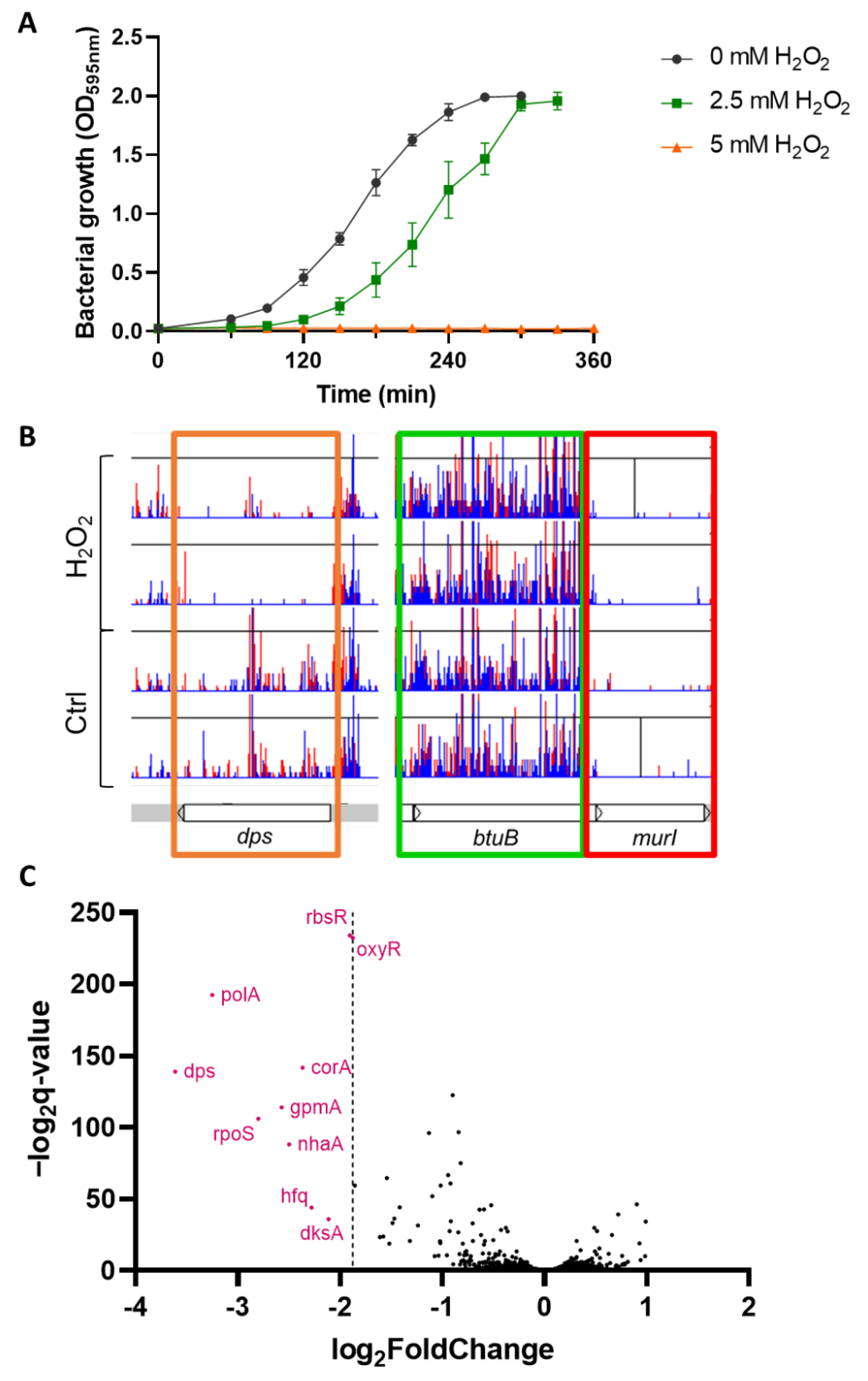 Antioxidants 11 02053 g001
