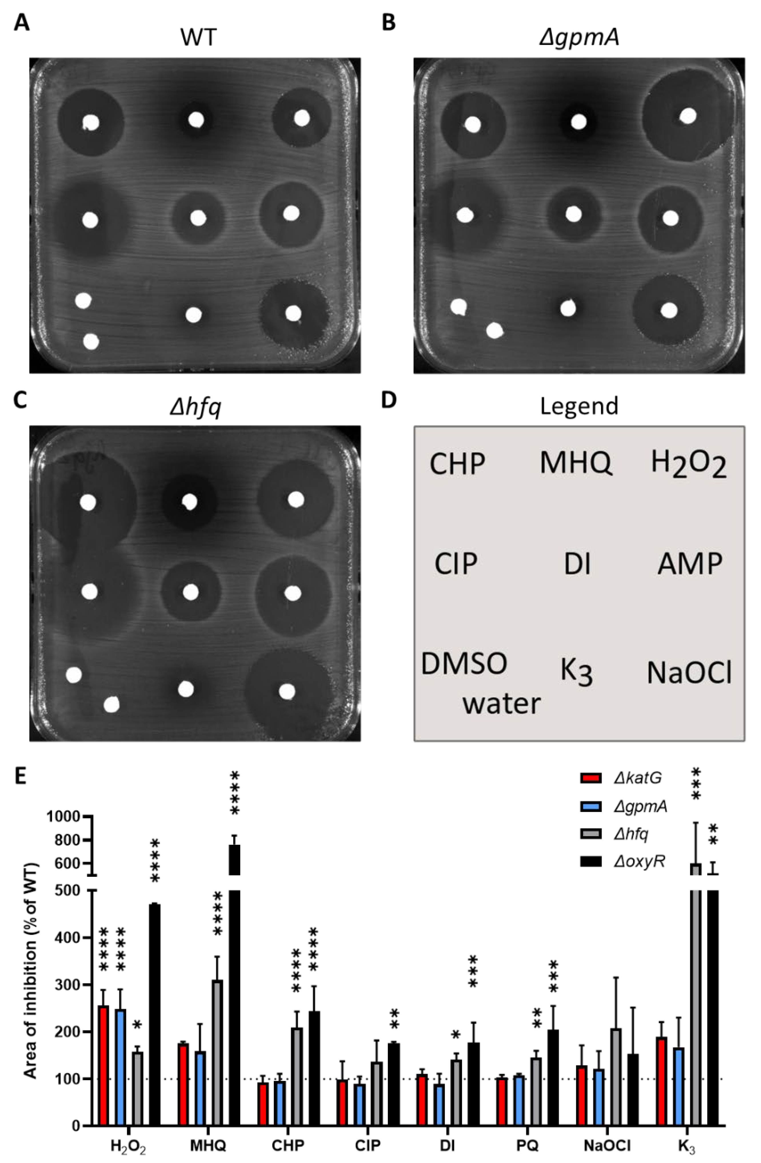 Antioxidants 11 02053 g003