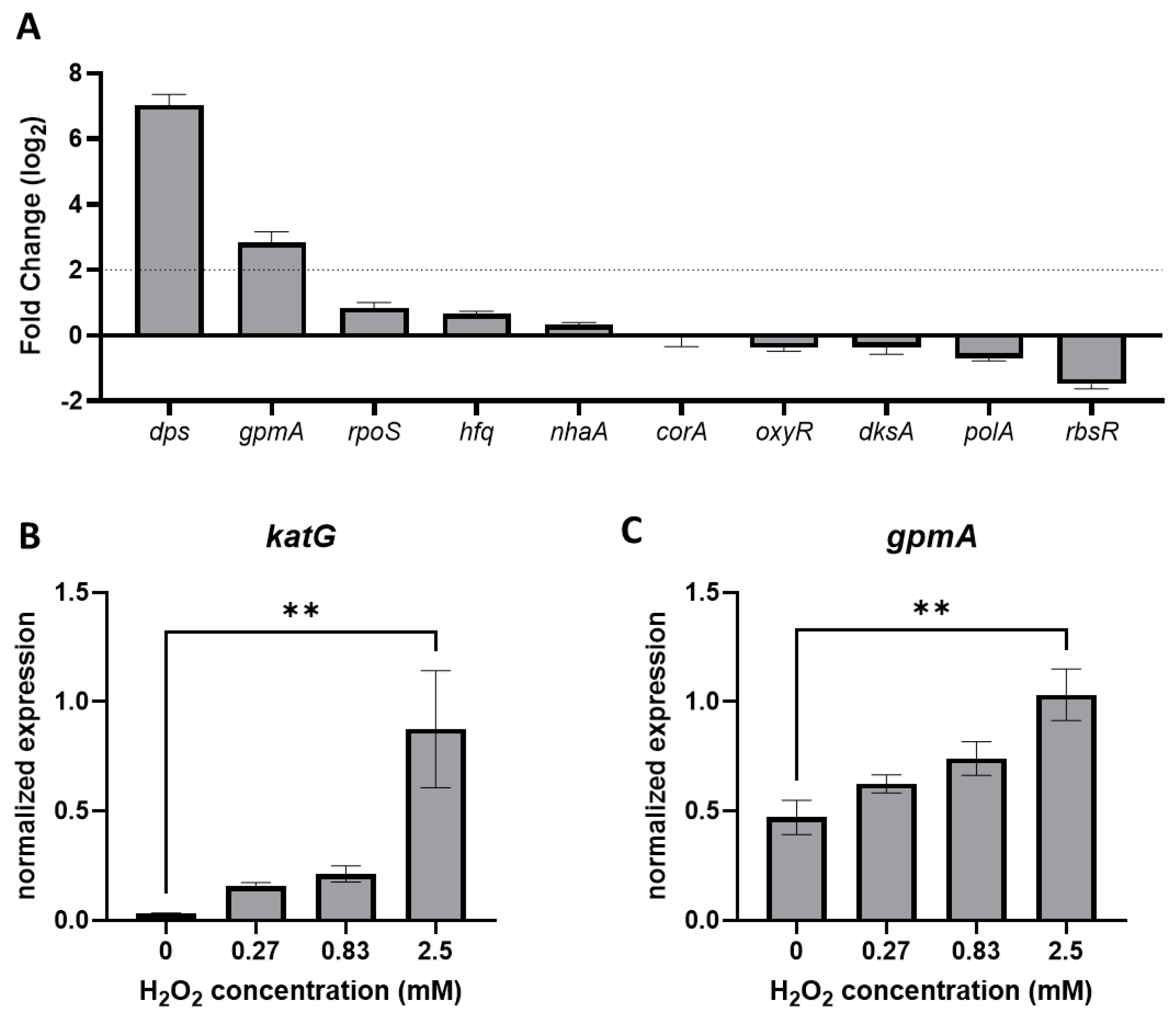 Antioxidants 11 02053 g004