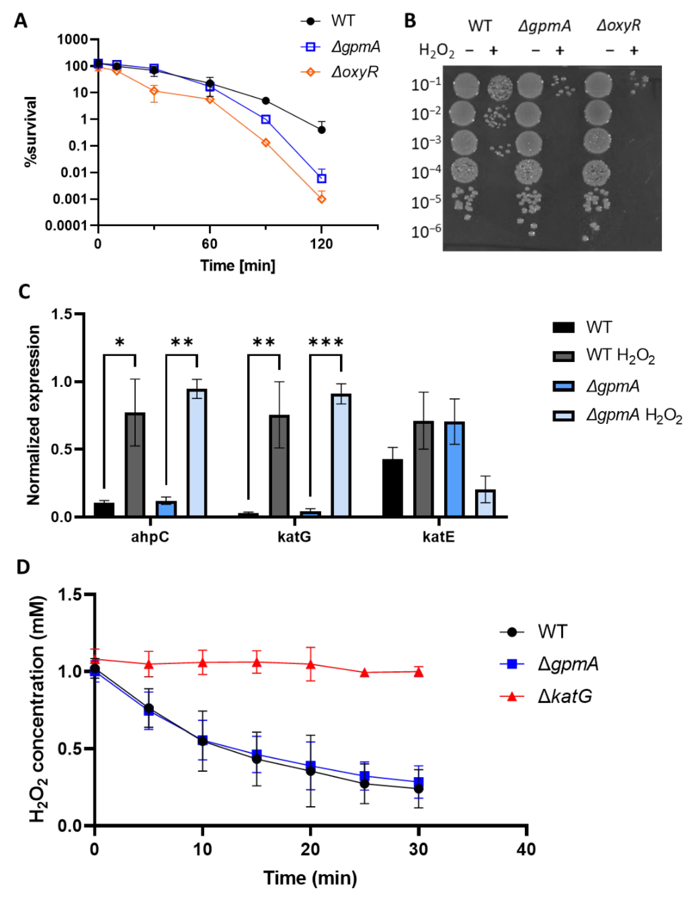 Antioxidants 11 02053 g005