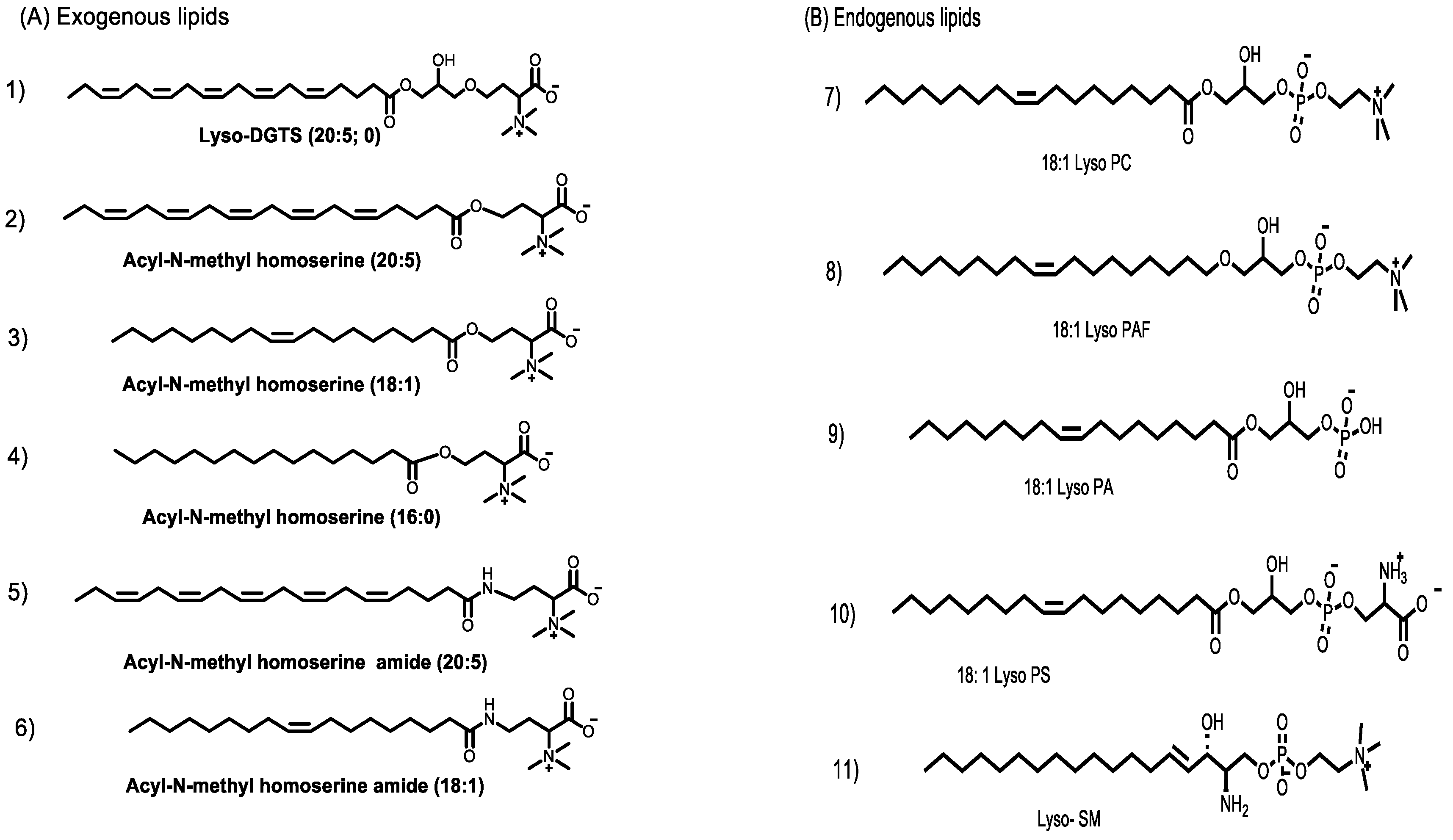 Antioxidants 11 02058 g001