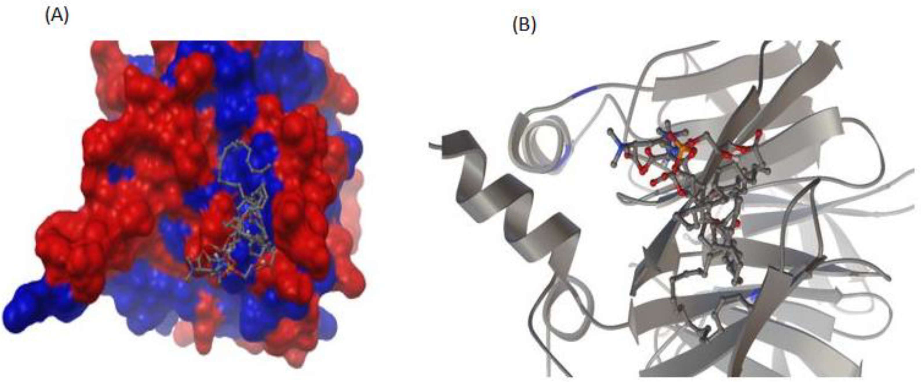 Antioxidants 11 02058 g005