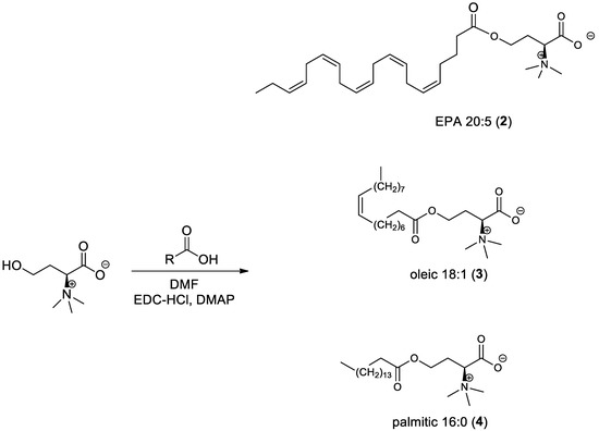 Antioxidants 11 02058 sch002