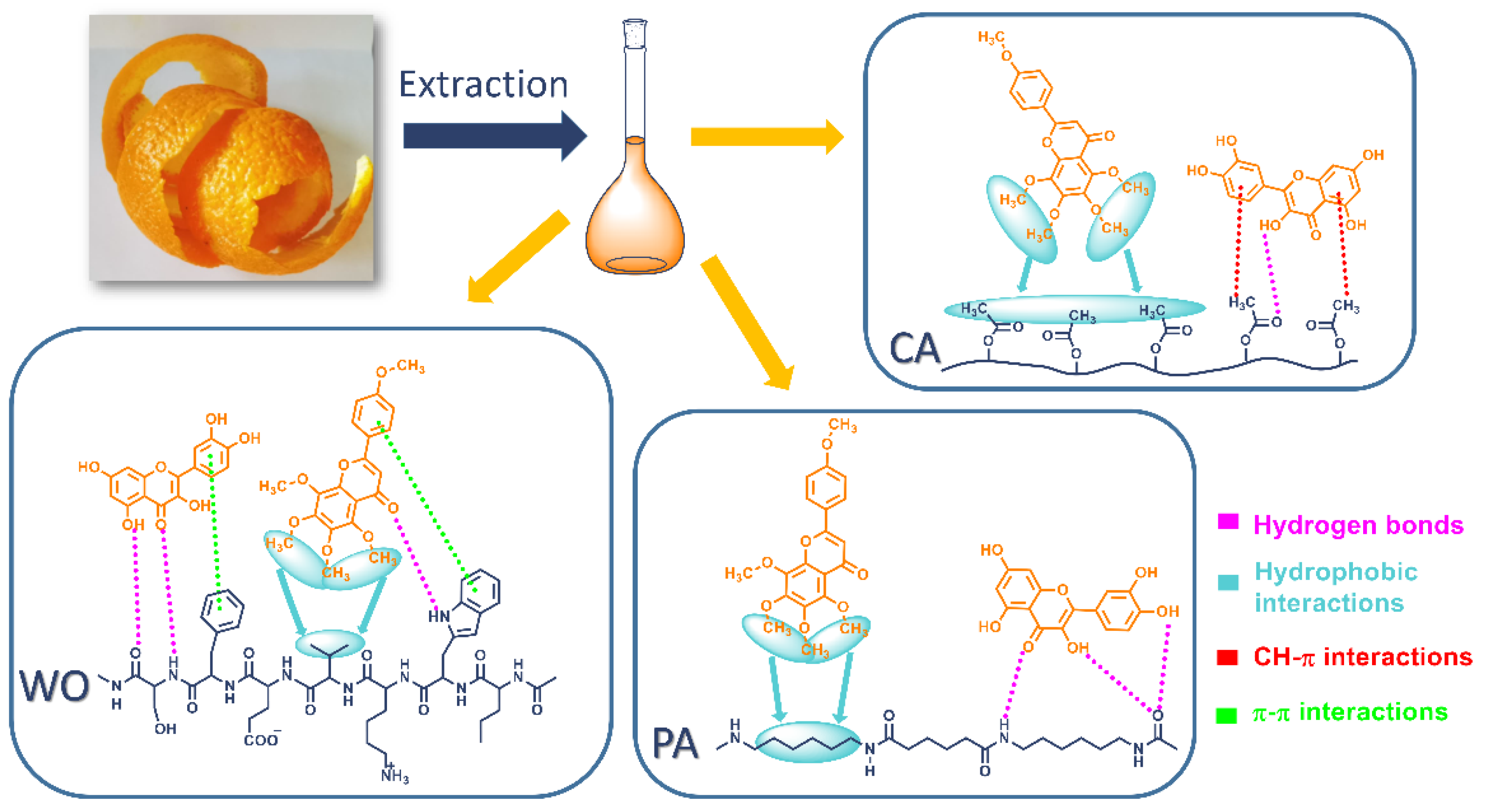 Antioxidants 11 02059 g006