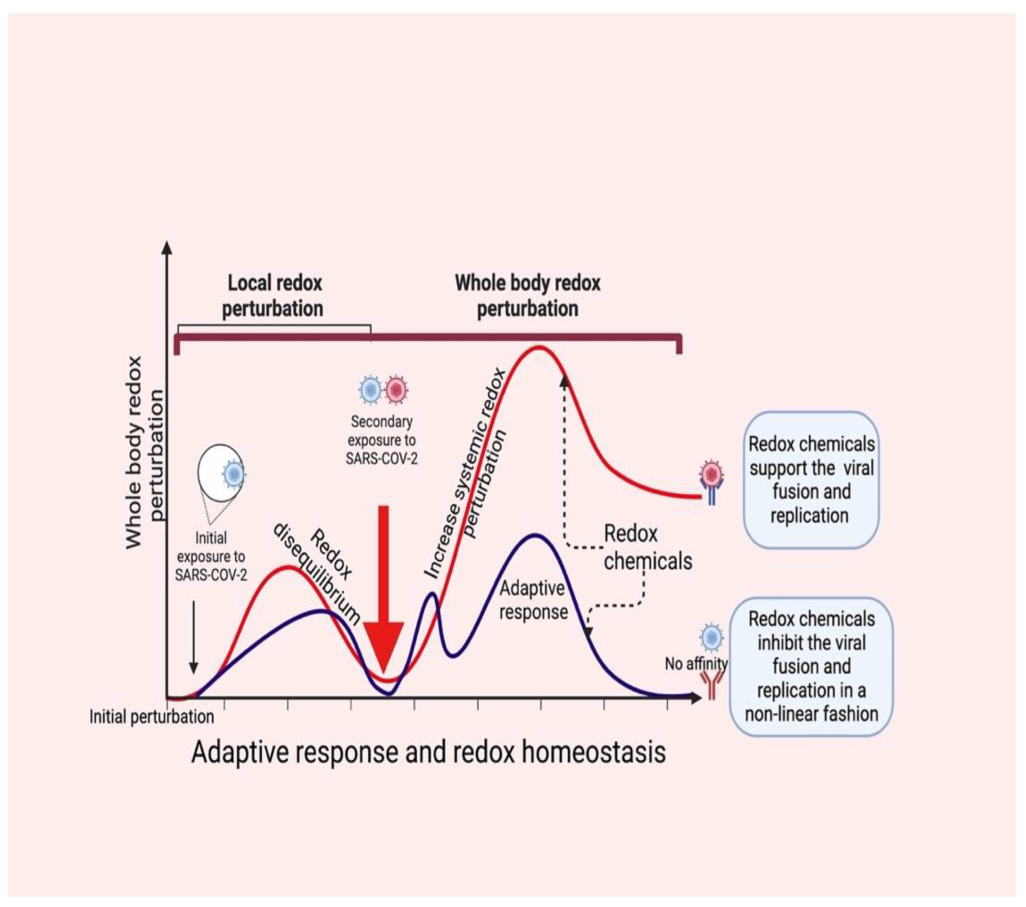 Antioxidants 11 02061 g003 Antioxidants 11 02061 g003