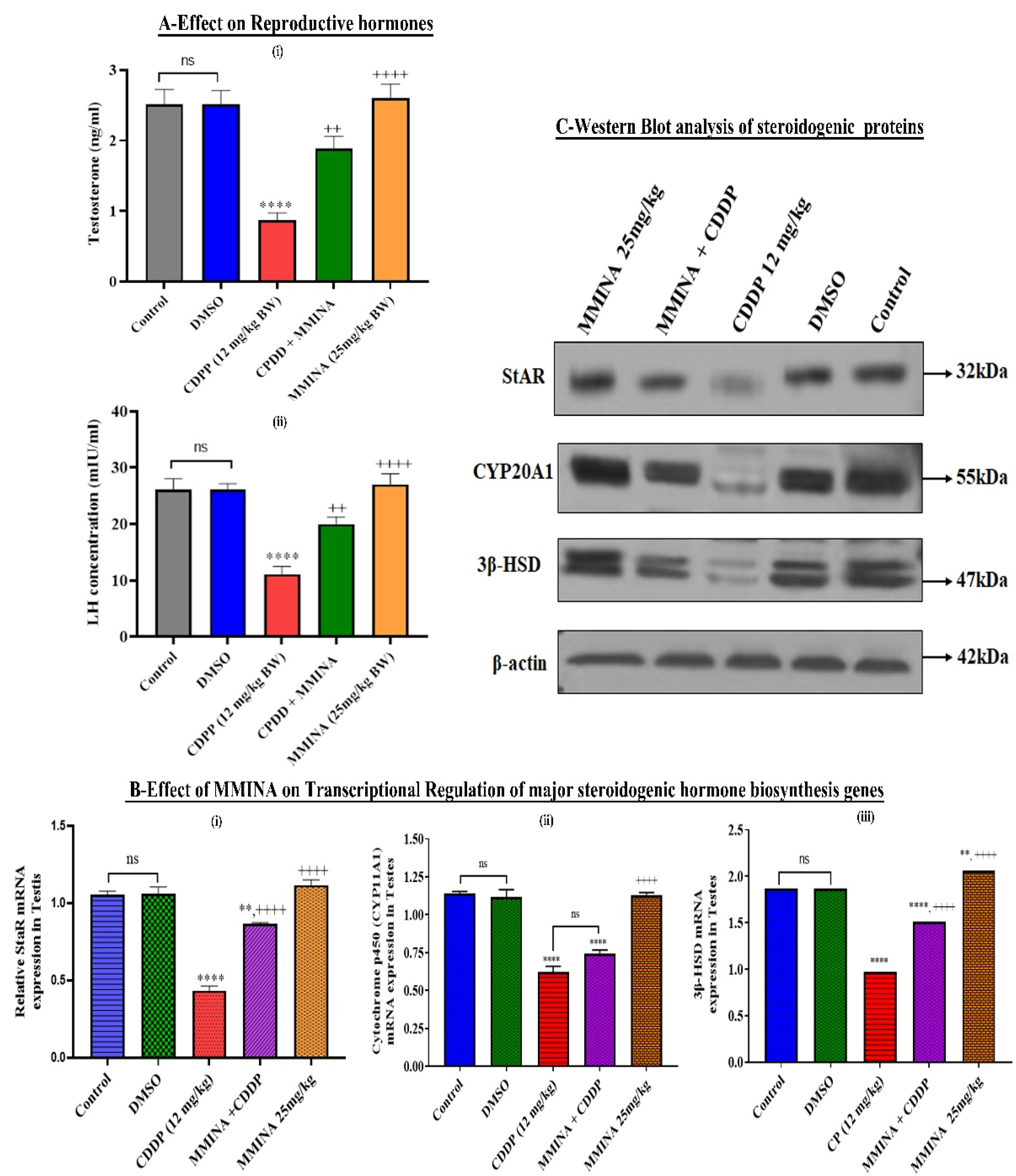Antioxidants 11 02063 g002