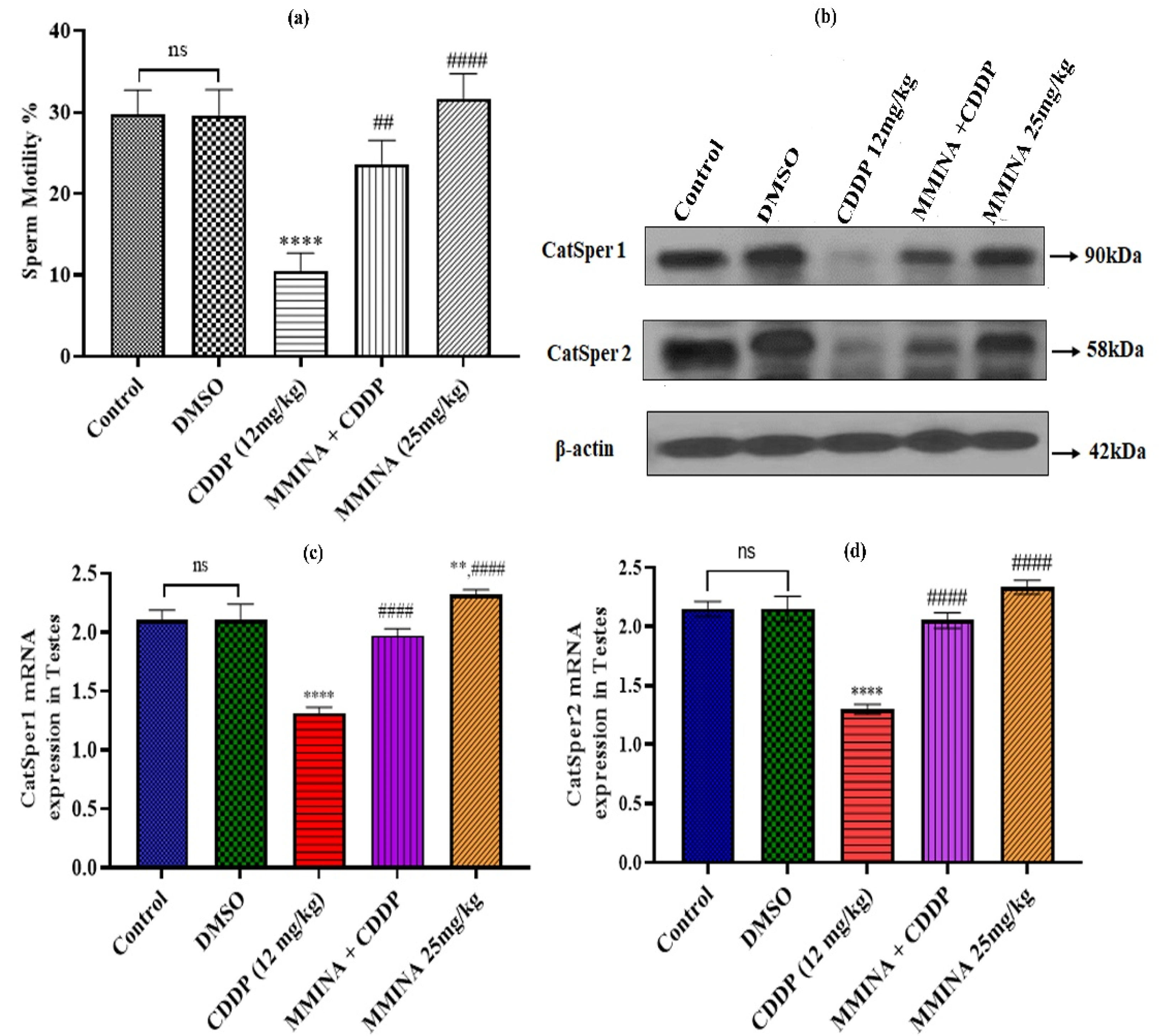 Antioxidants 11 02063 g003