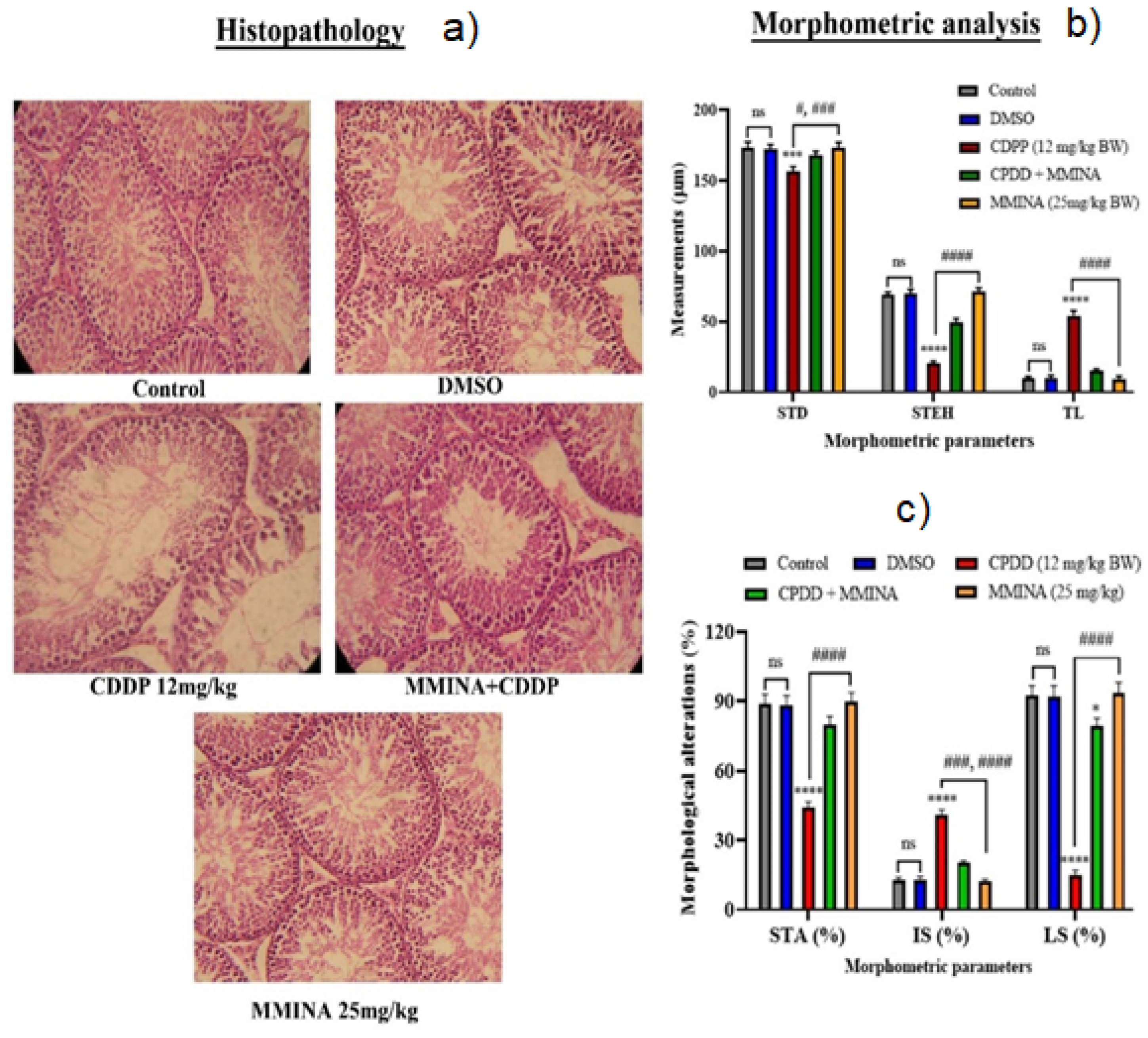 Antioxidants 11 02063 g005