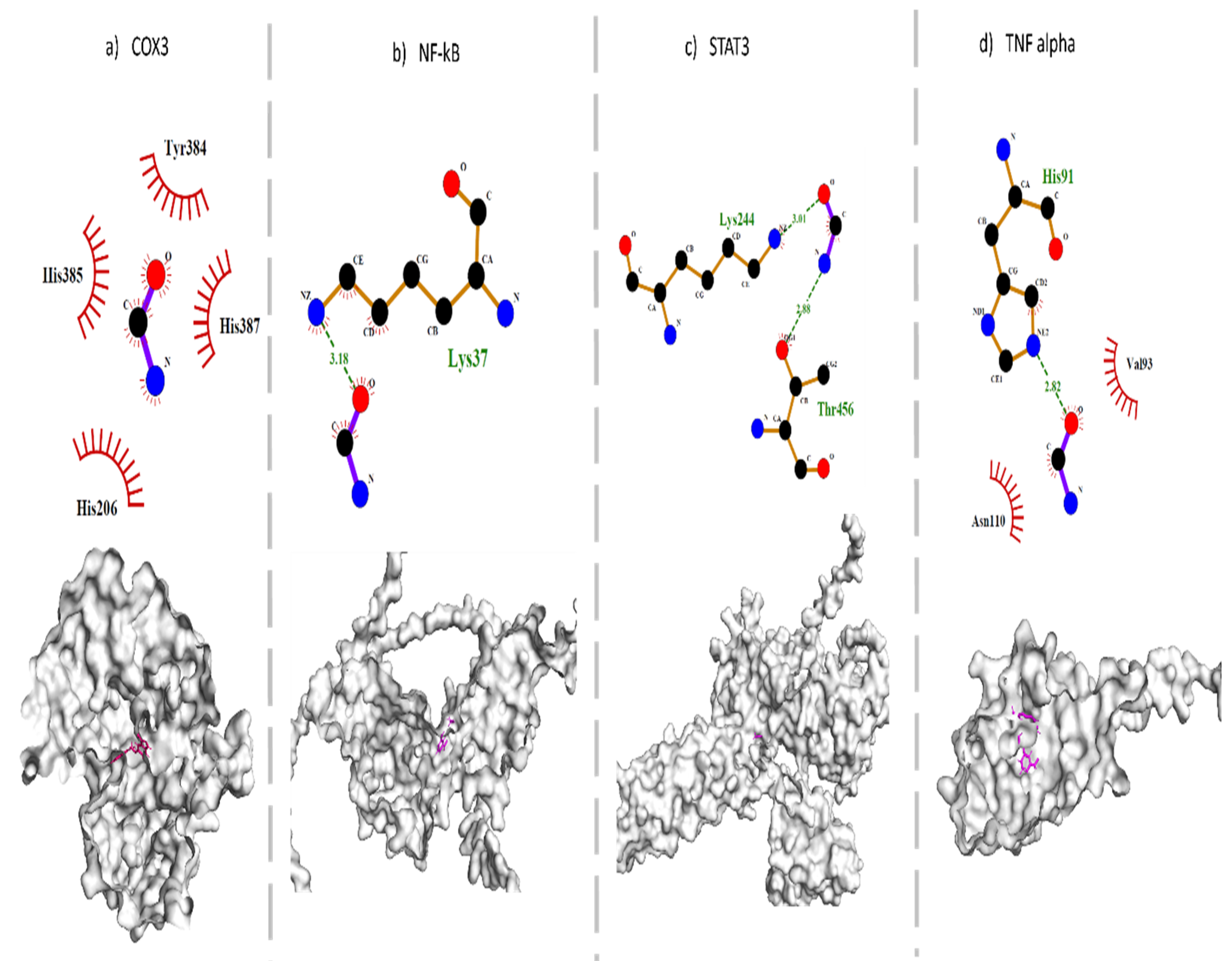 Antioxidants 11 02063 g006