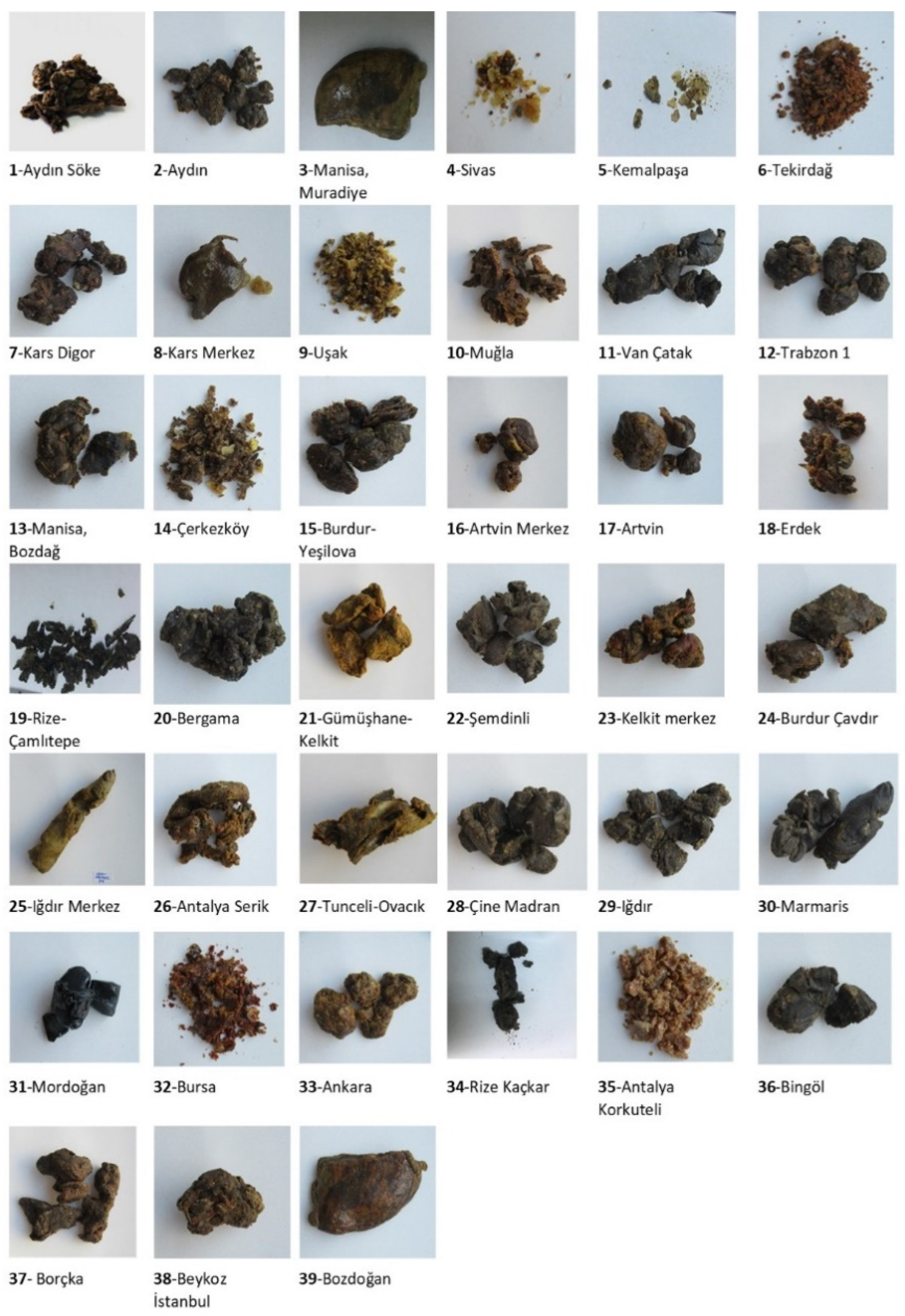 Antioxidants 11 02075 g002