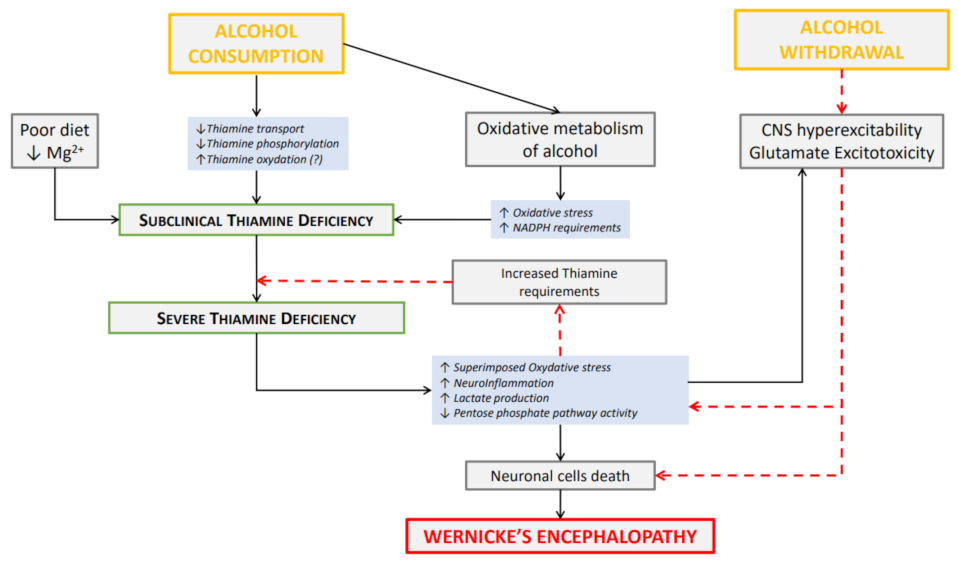 Antioxidants 11 02078 g001
