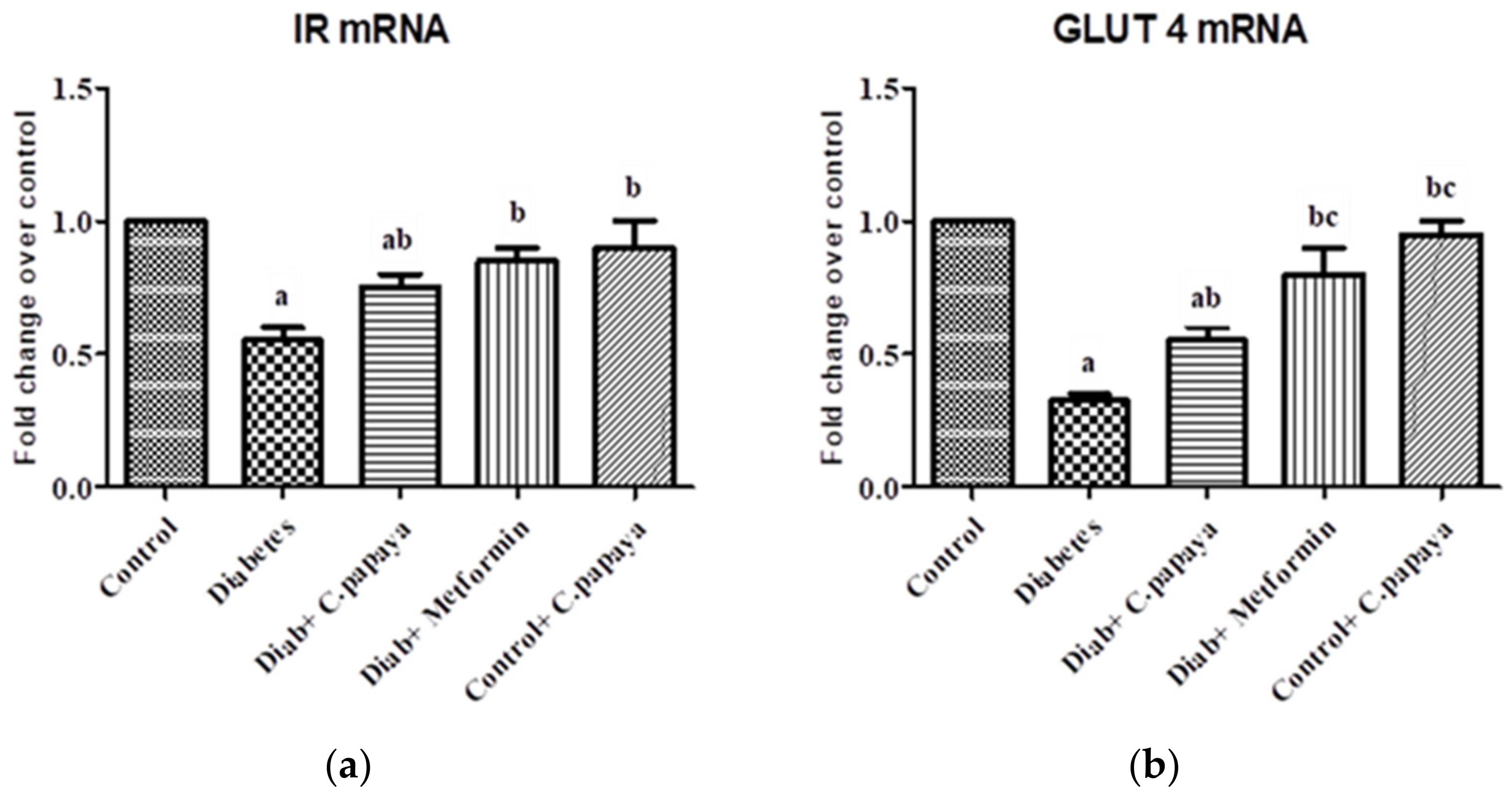 Antioxidants 11 02081 g008