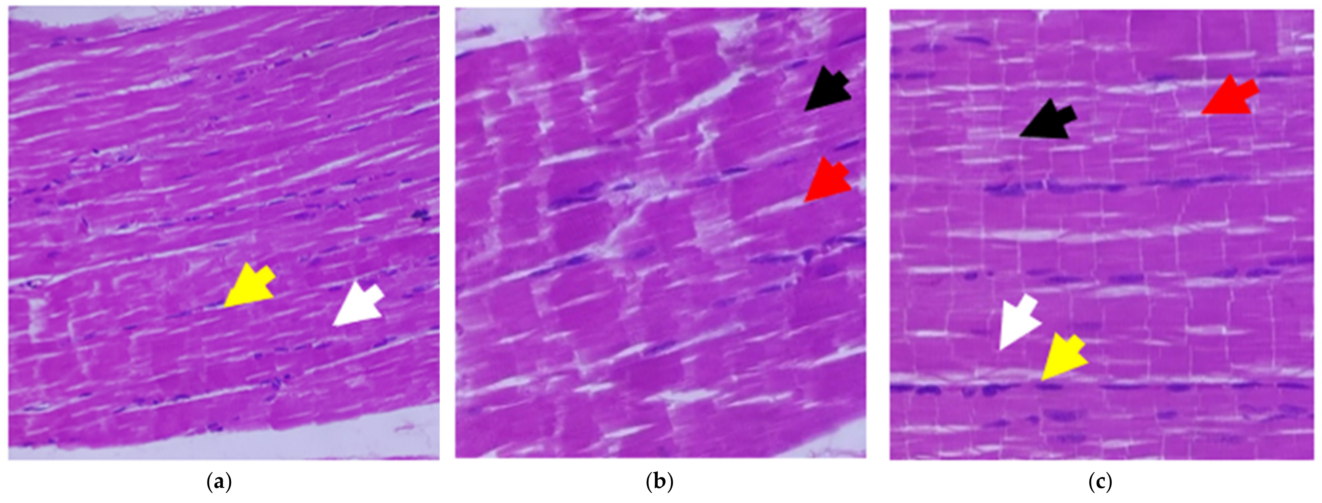 Antioxidants 11 02081 g009a