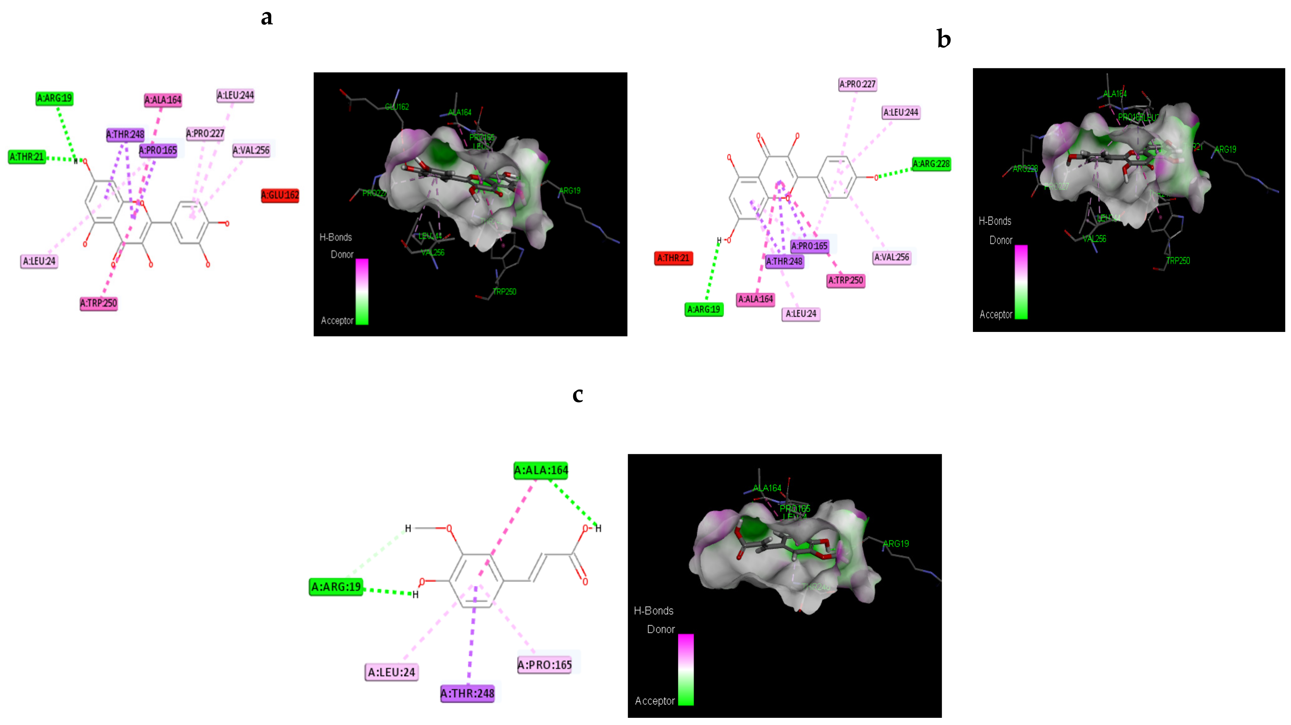 Antioxidants 11 02081 g012