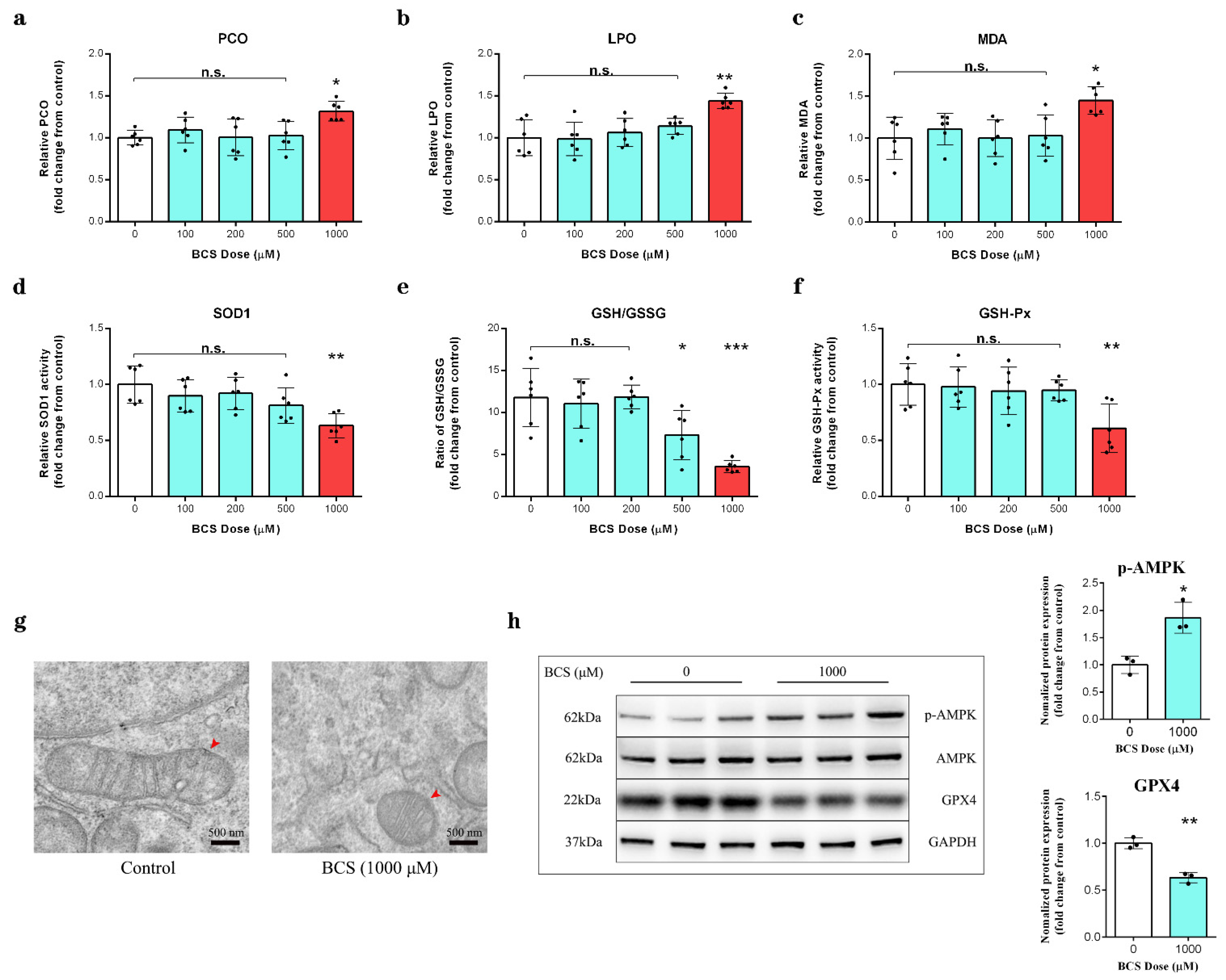 Antioxidants 11 02084 g003
