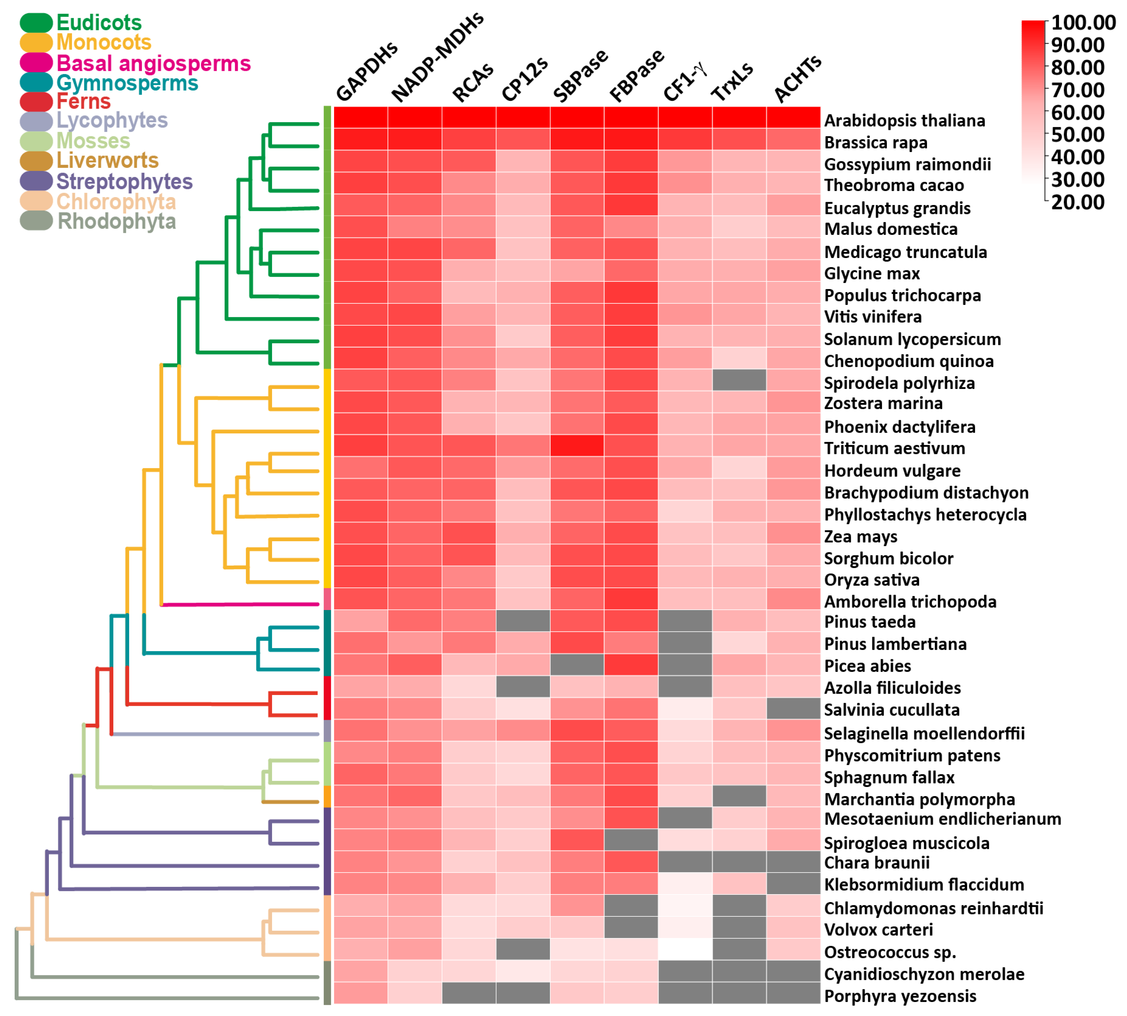 Antioxidants 11 02085 g002