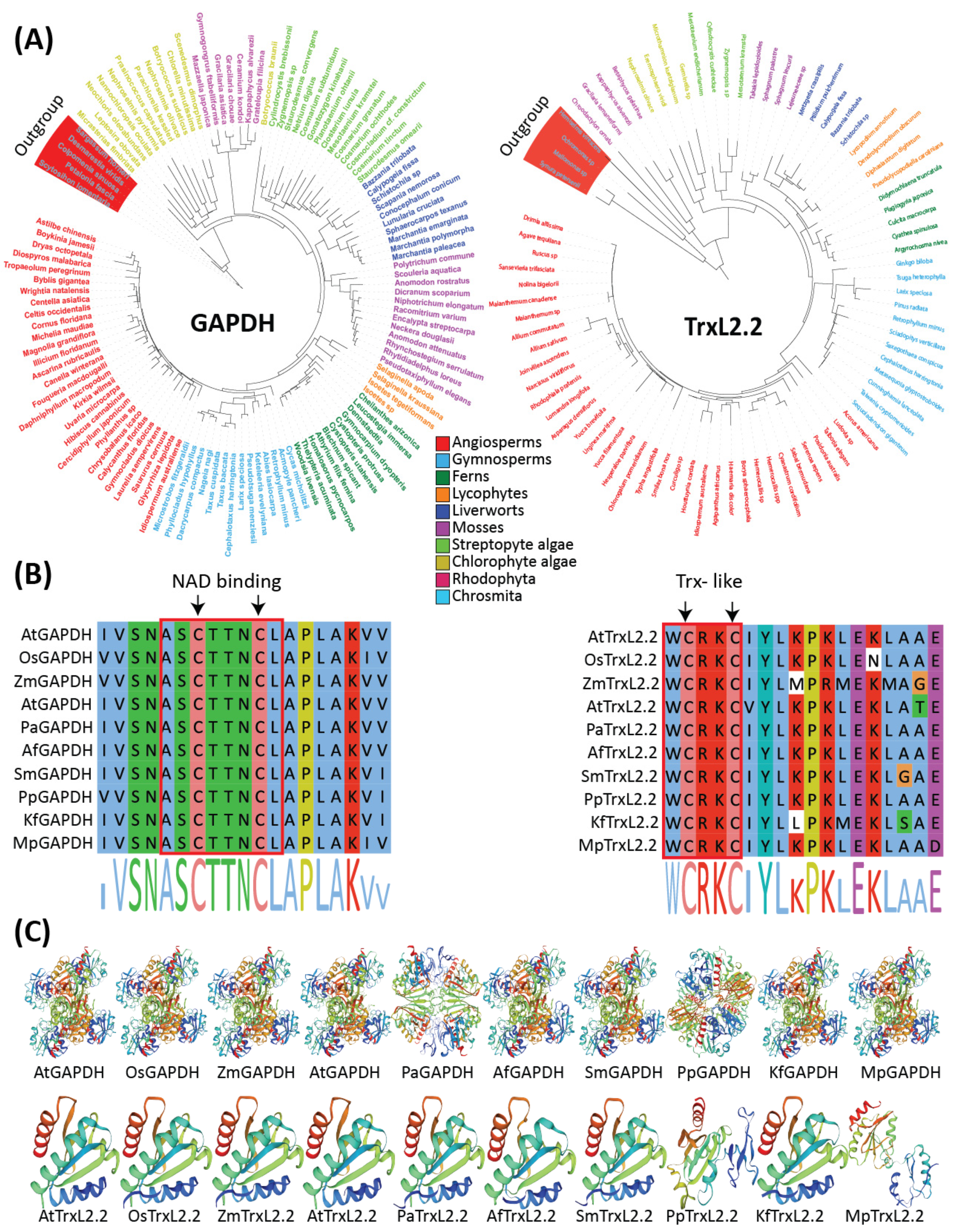 Antioxidants 11 02085 g003