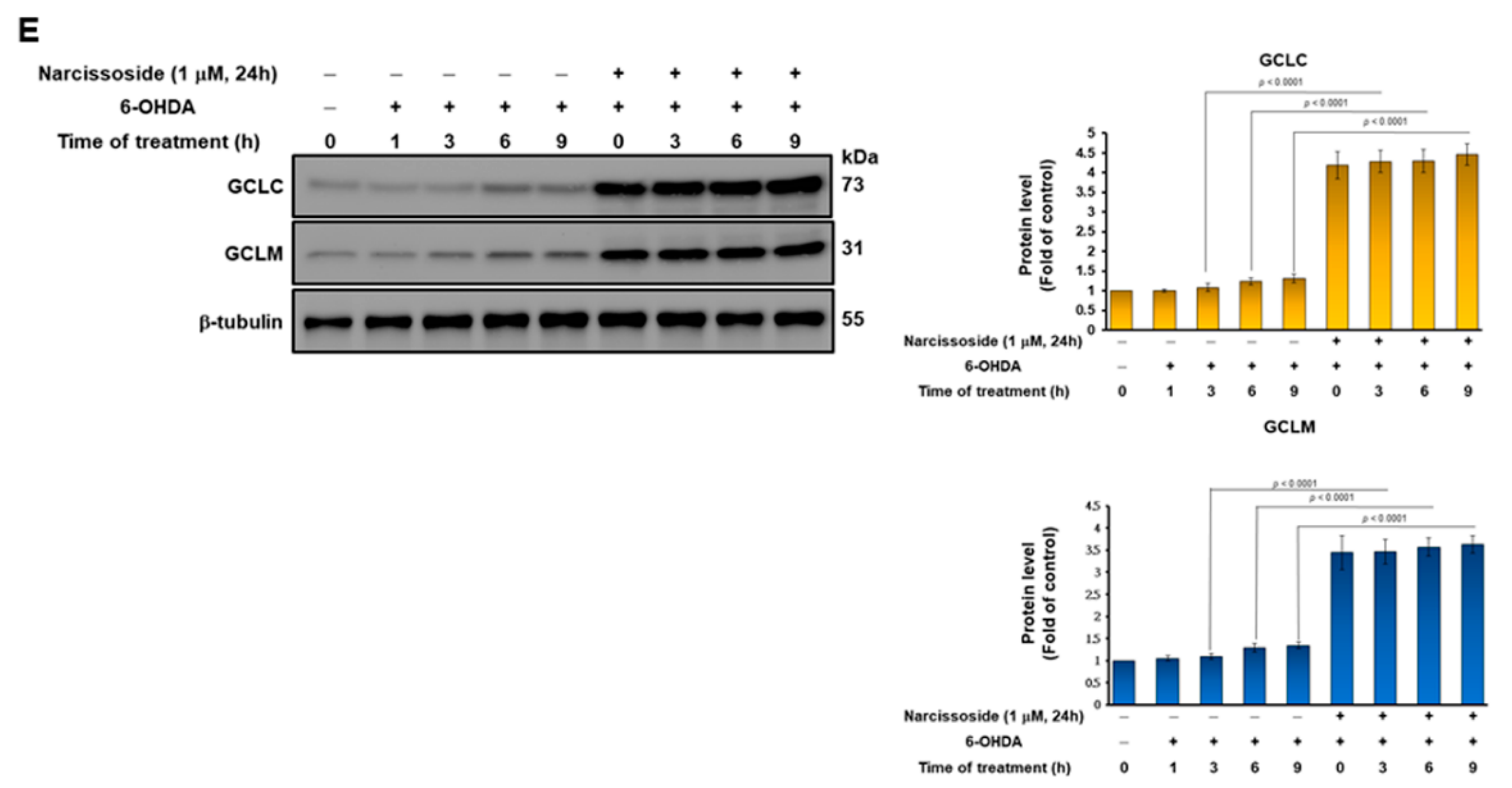 Antioxidants 11 02089 g003b Antioxidants 11 02089 g003b