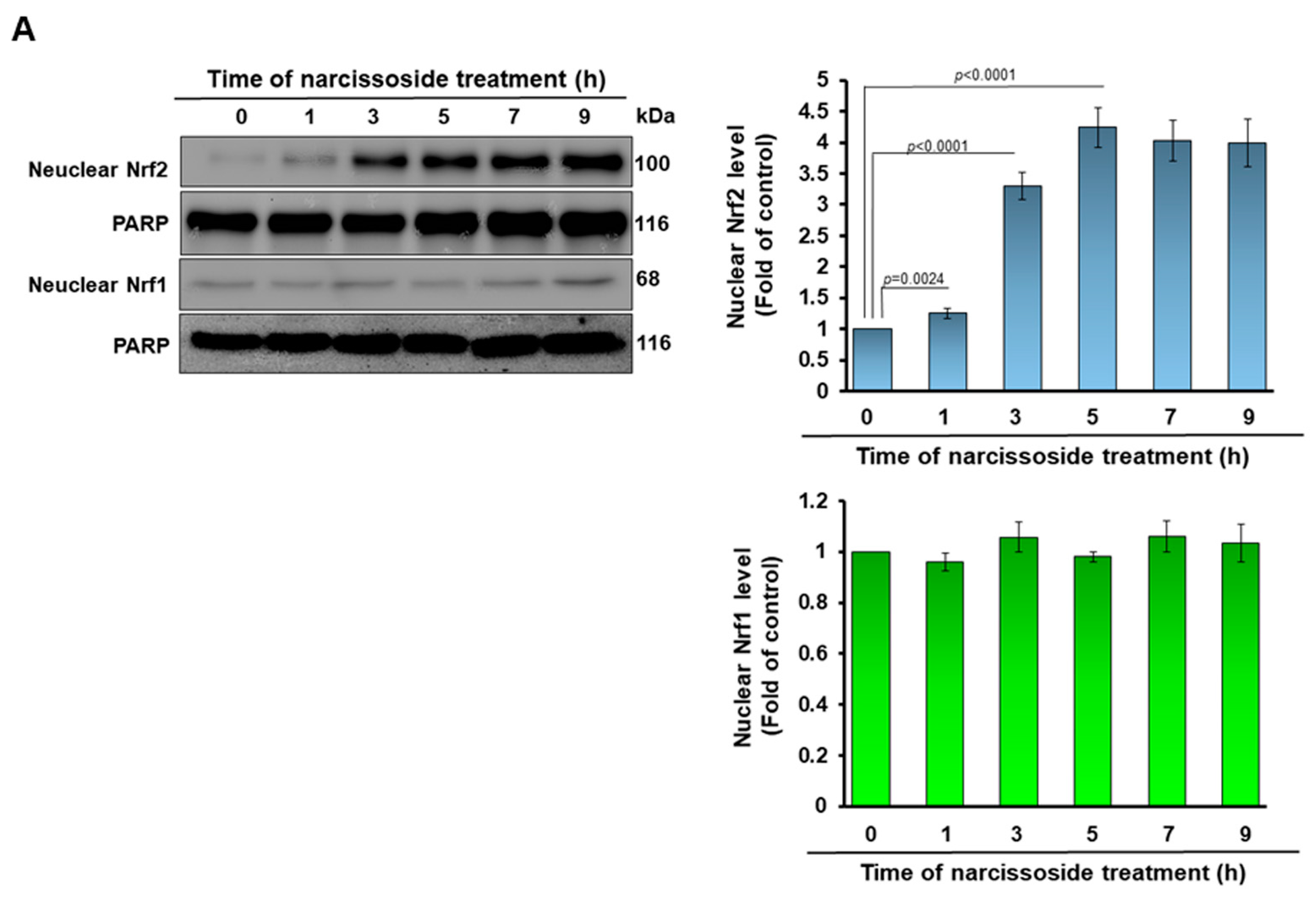 Antioxidants 11 02089 g006a Antioxidants 11 02089 g006a
