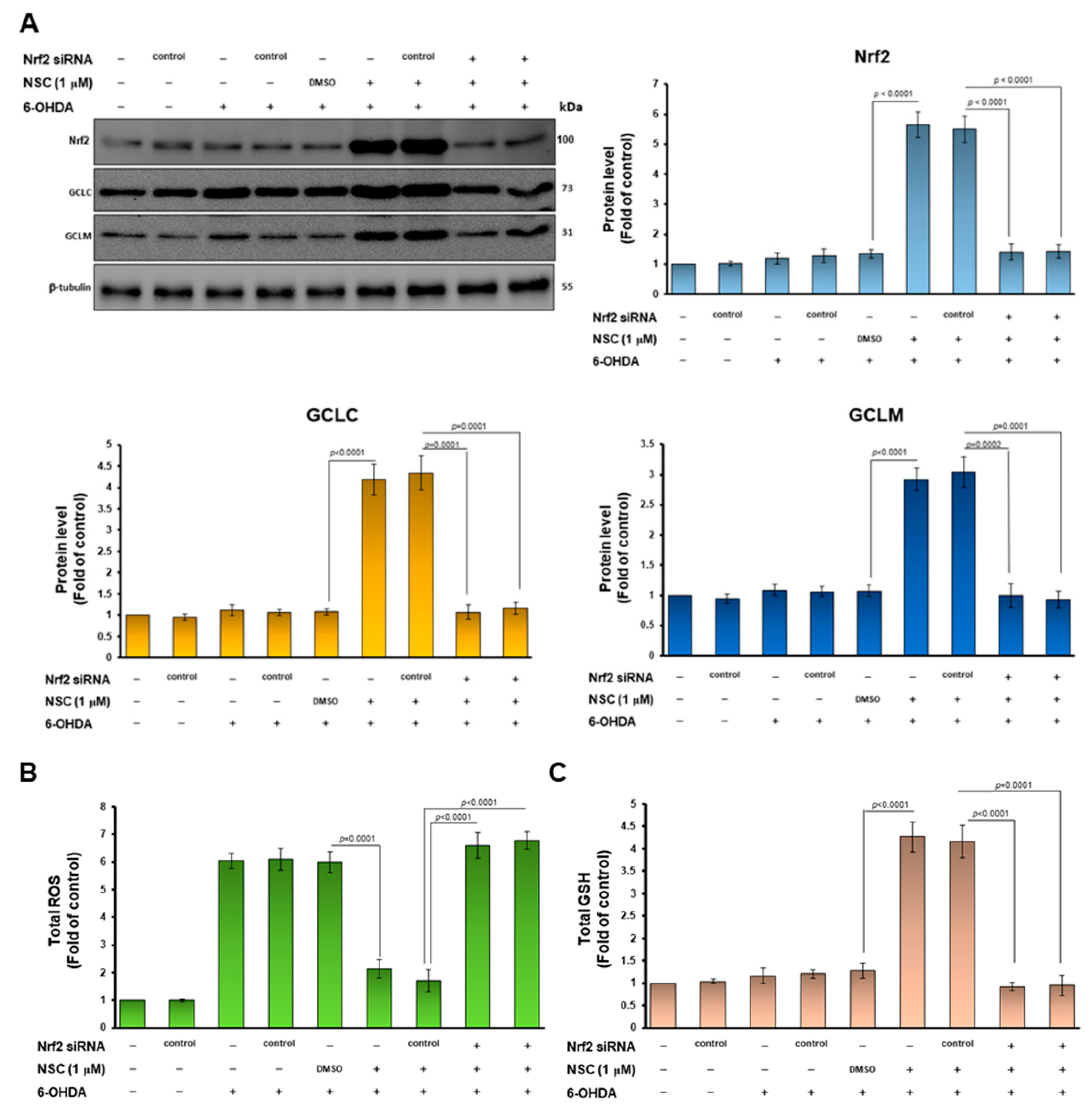 Antioxidants 11 02089 g007a Antioxidants 11 02089 g007a