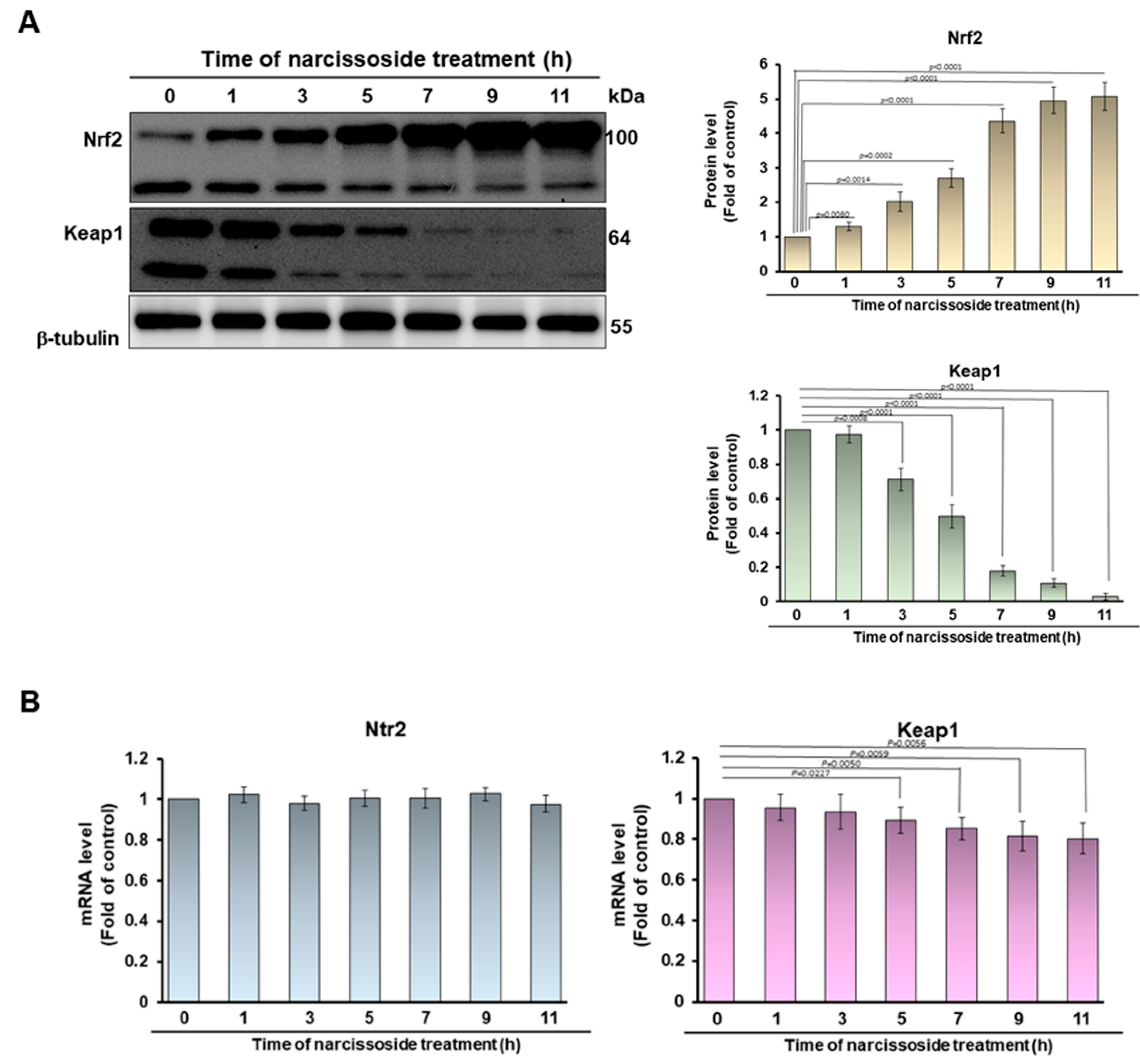 Antioxidants 11 02089 g008a Antioxidants 11 02089 g008a