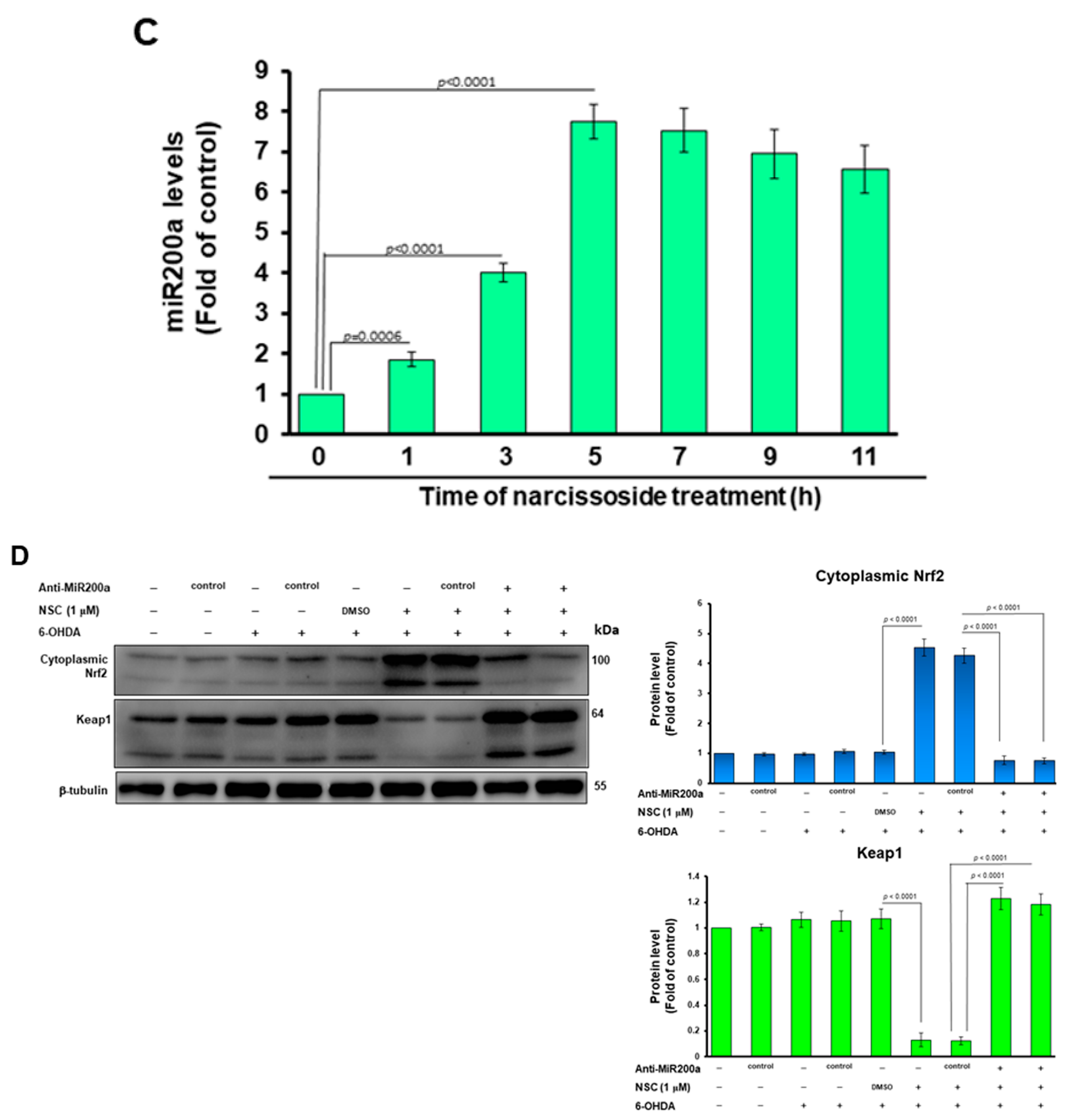 Antioxidants 11 02089 g008b Antioxidants 11 02089 g008b