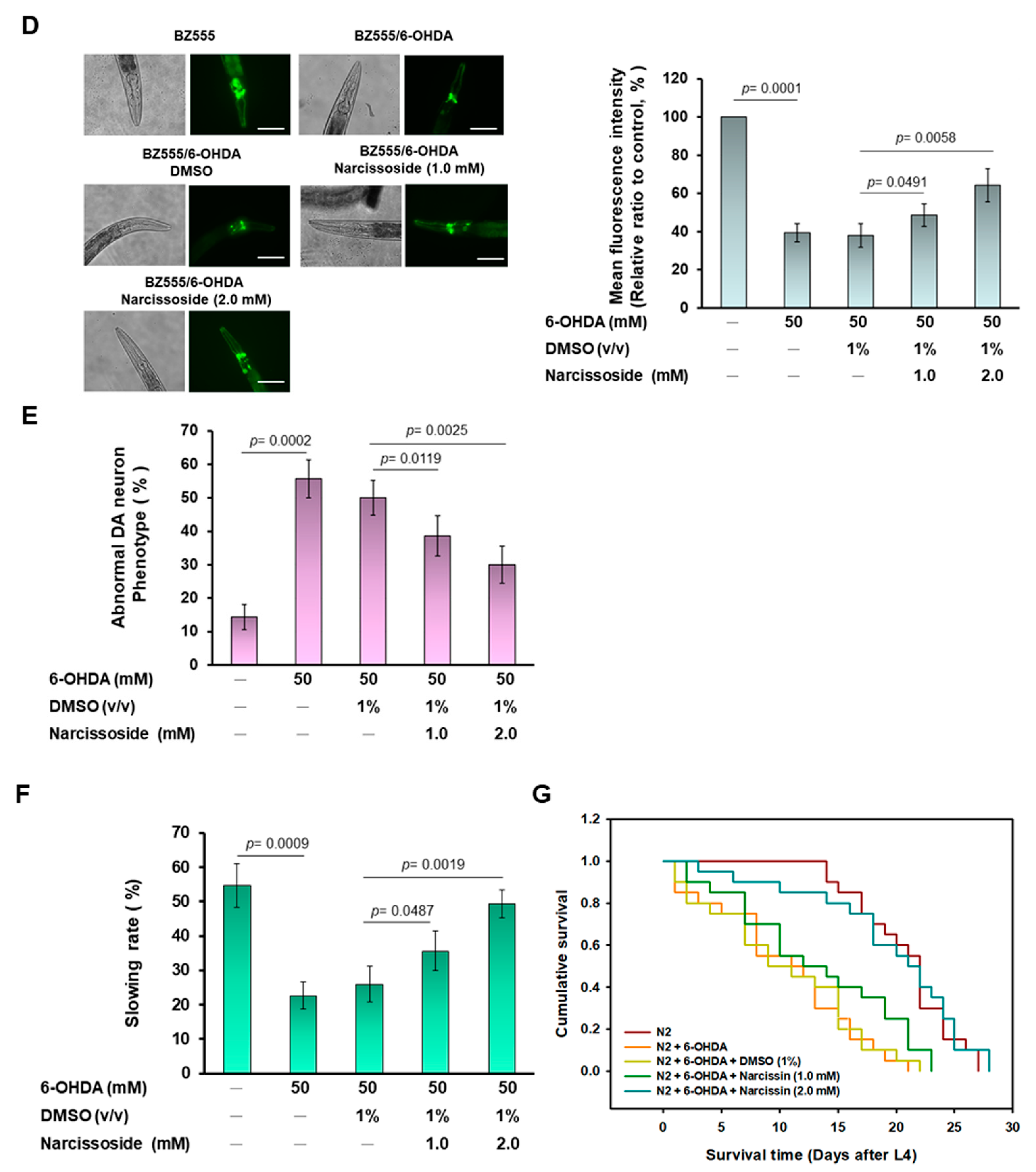 Antioxidants 11 02089 g009b Antioxidants 11 02089 g009b