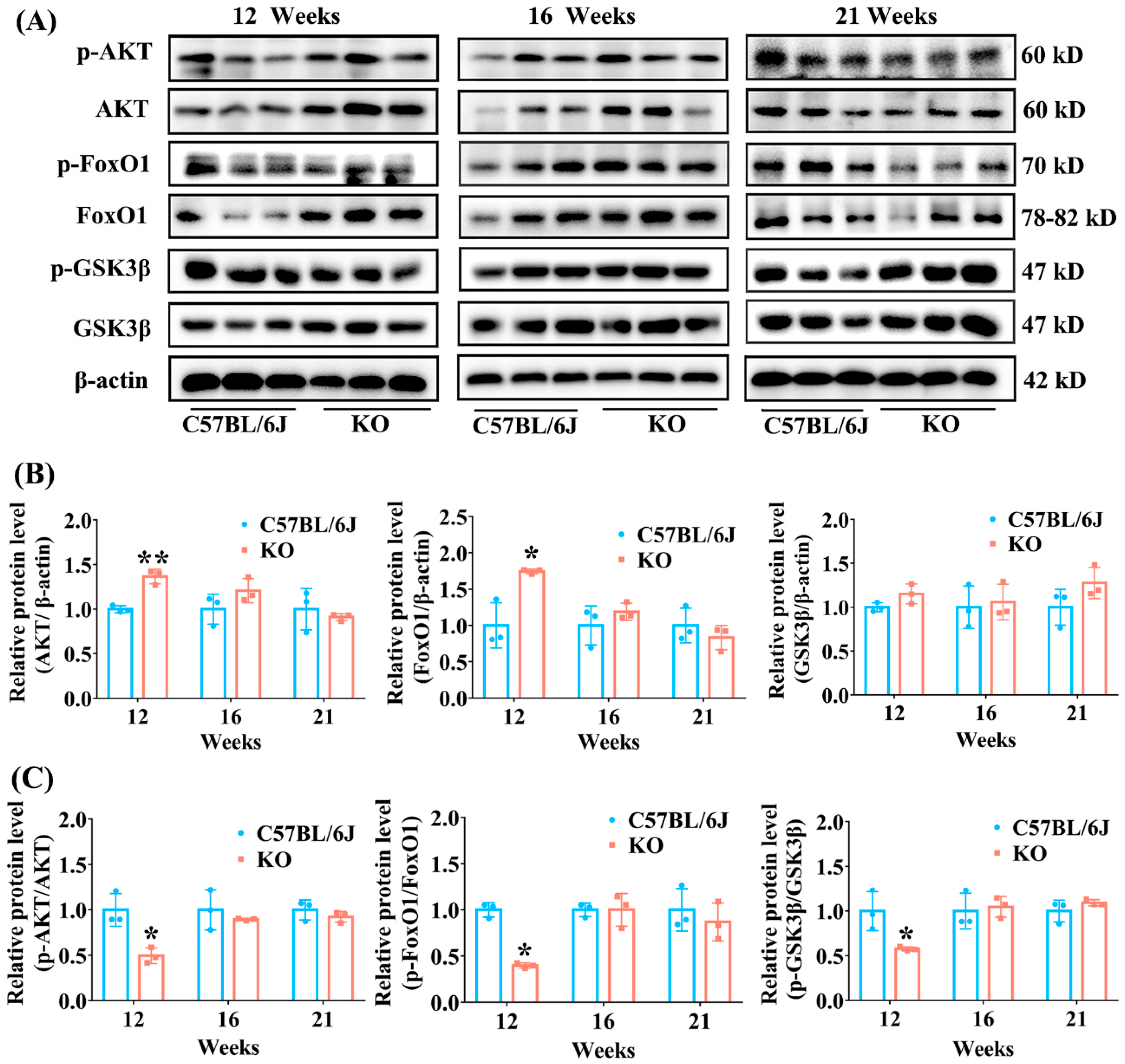 Antioxidants 11 02105 g006