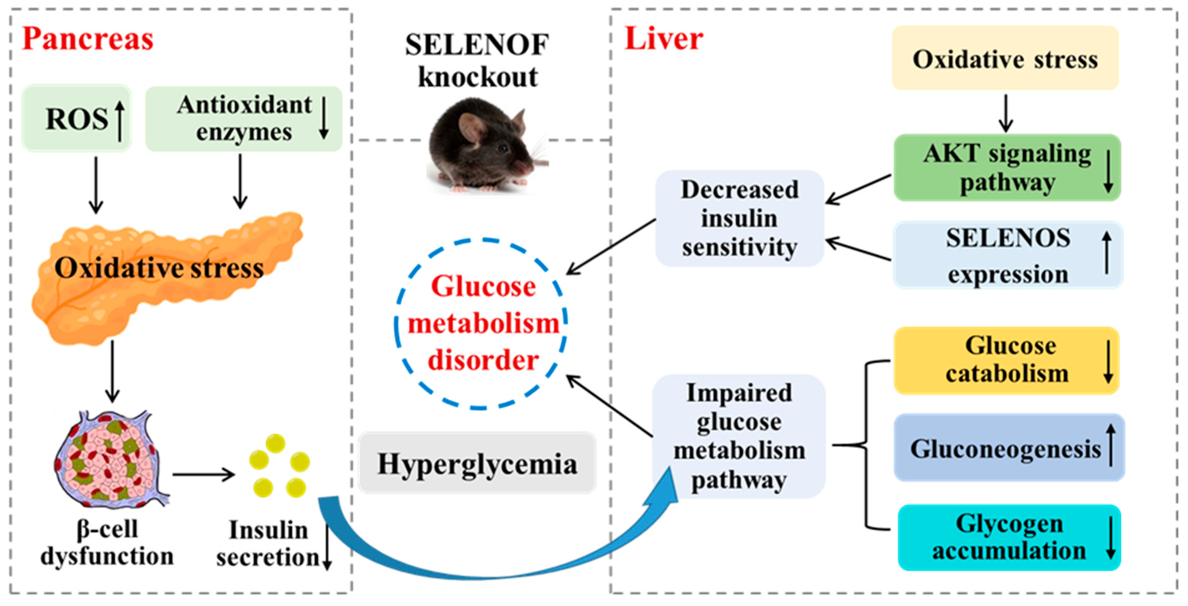 Antioxidants 11 02105 g009