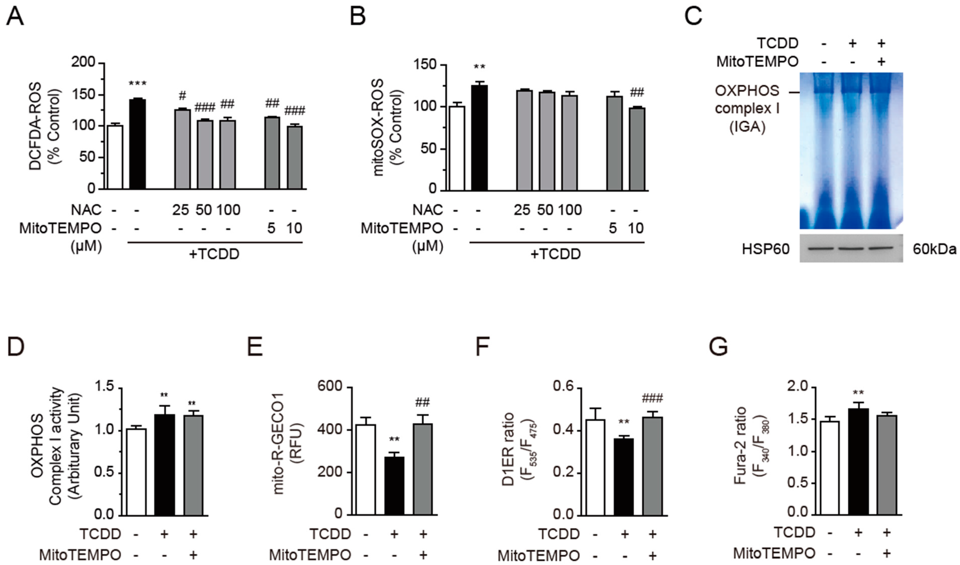 Antioxidants 11 02109 g007