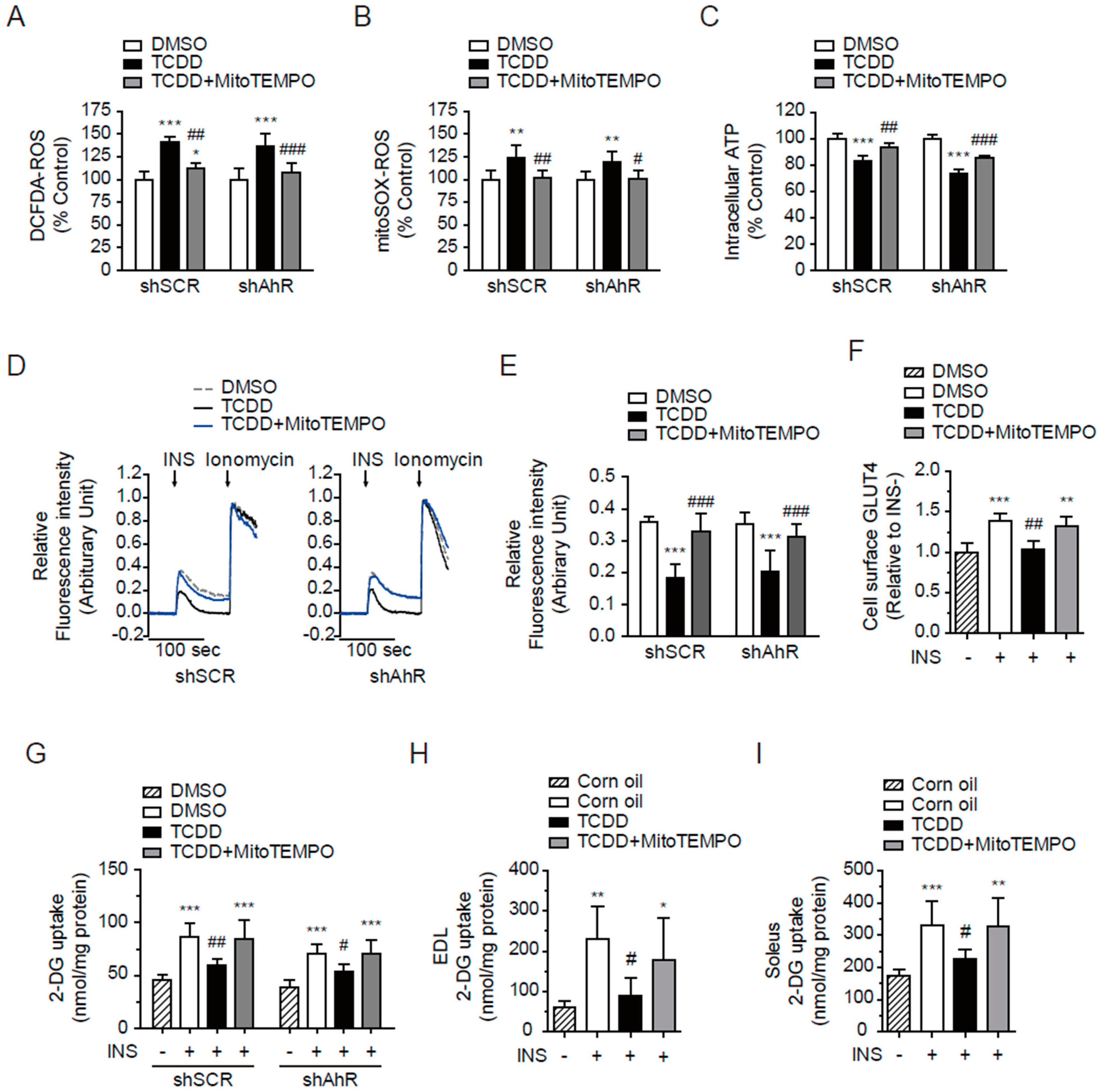 Antioxidants 11 02109 g008