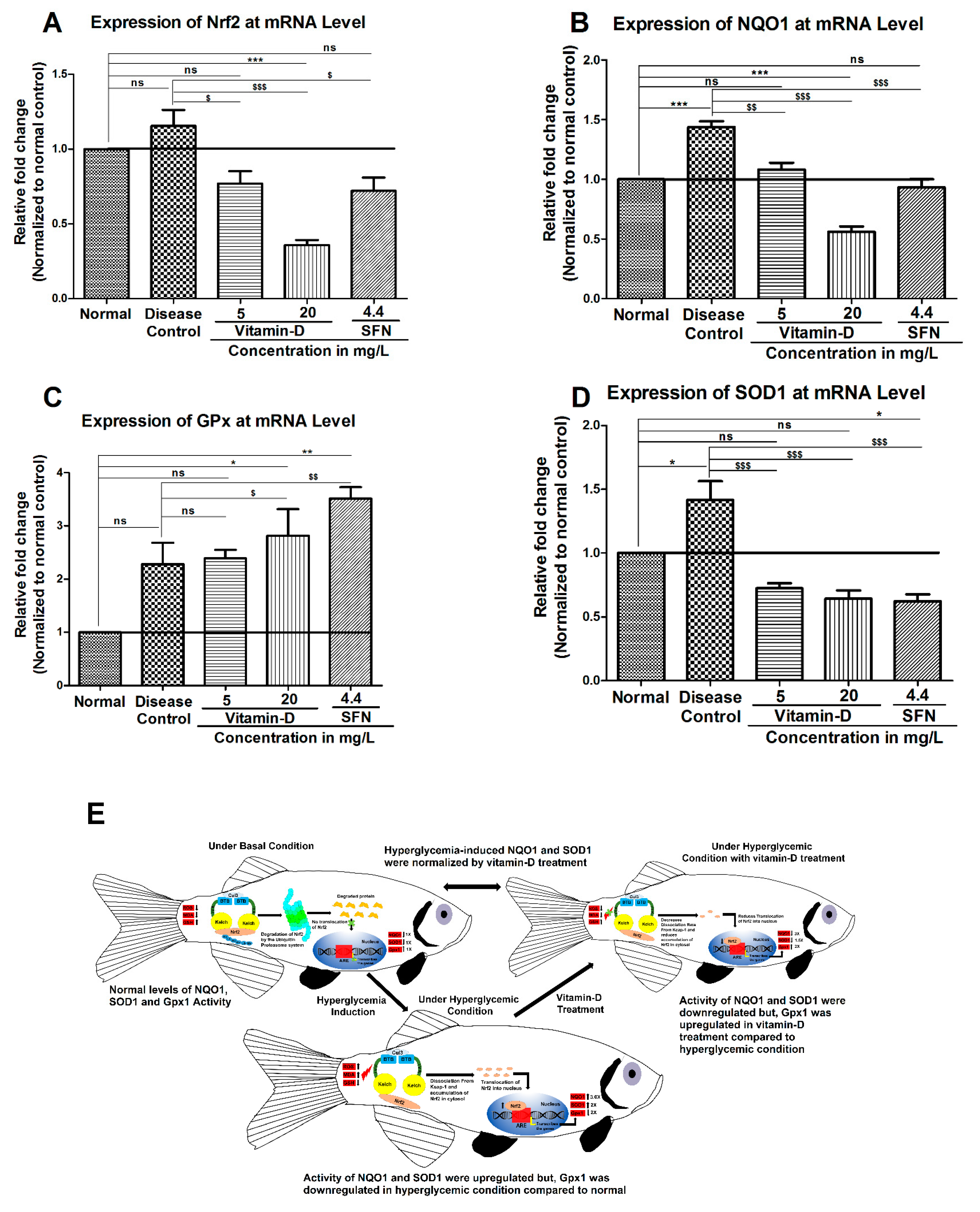 Antioxidants 11 02114 g007 Antioxidants 11 02114 g007