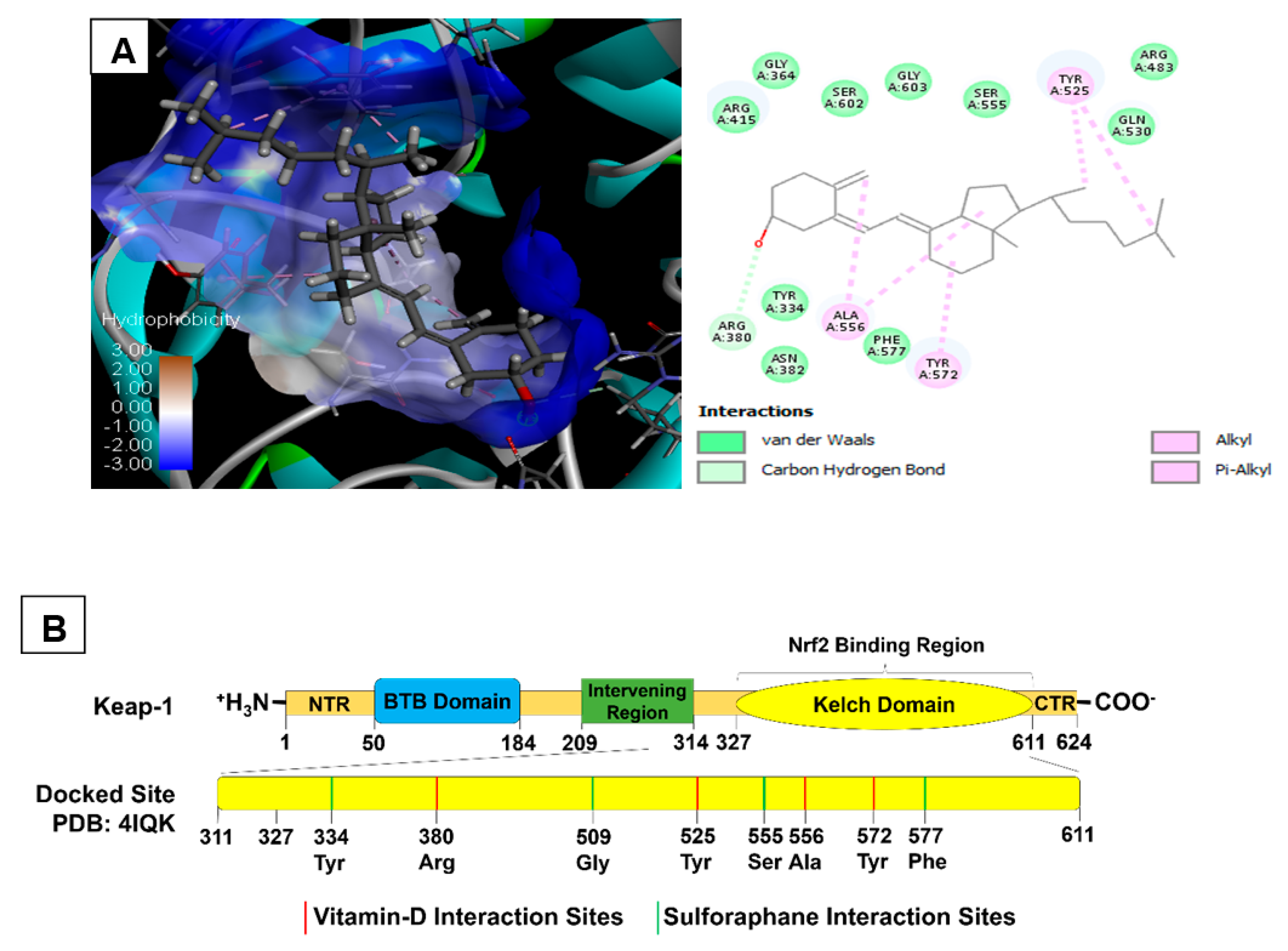 Antioxidants 11 02114 g009 Antioxidants 11 02114 g009