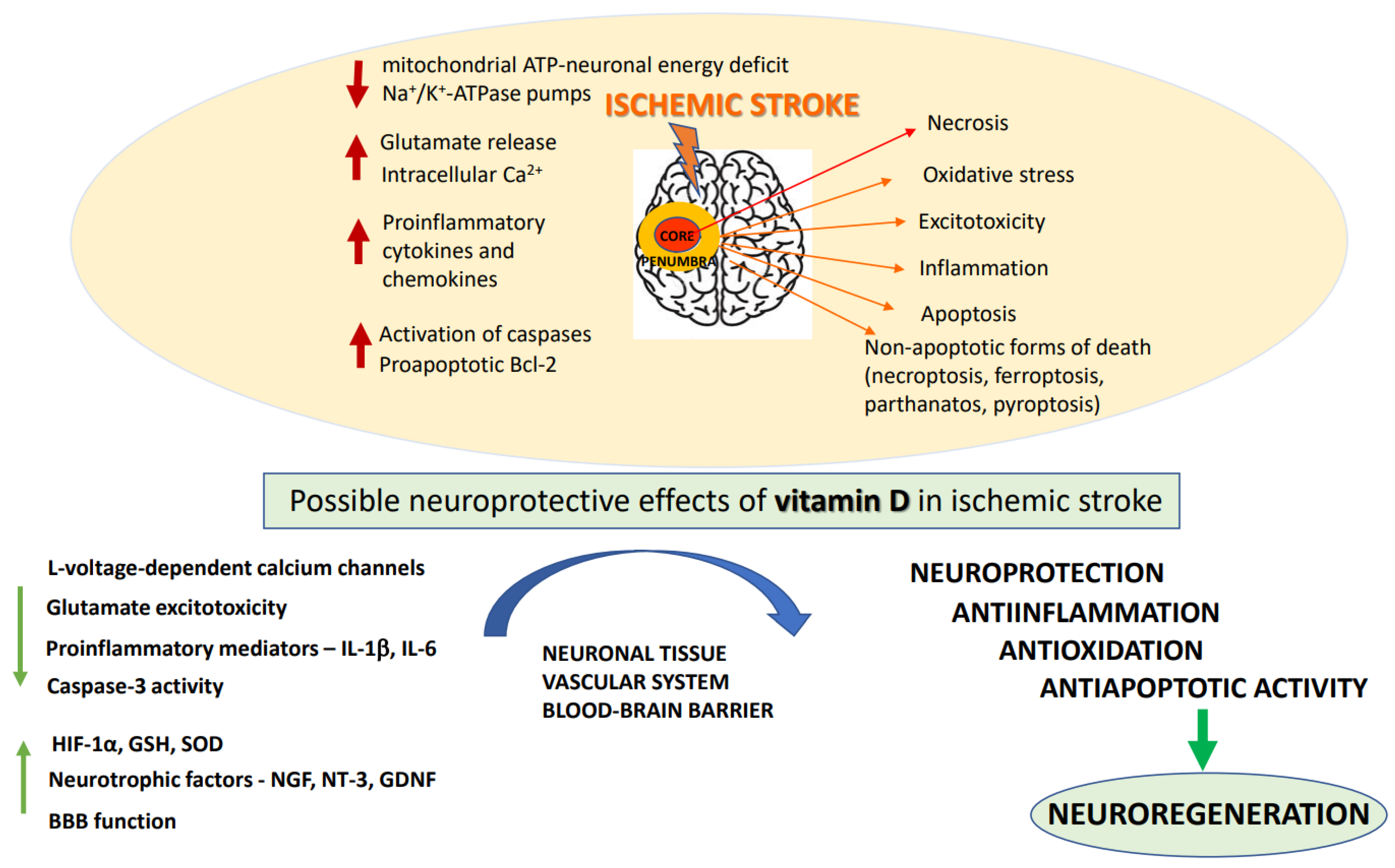 Antioxidants 11 02120 g001