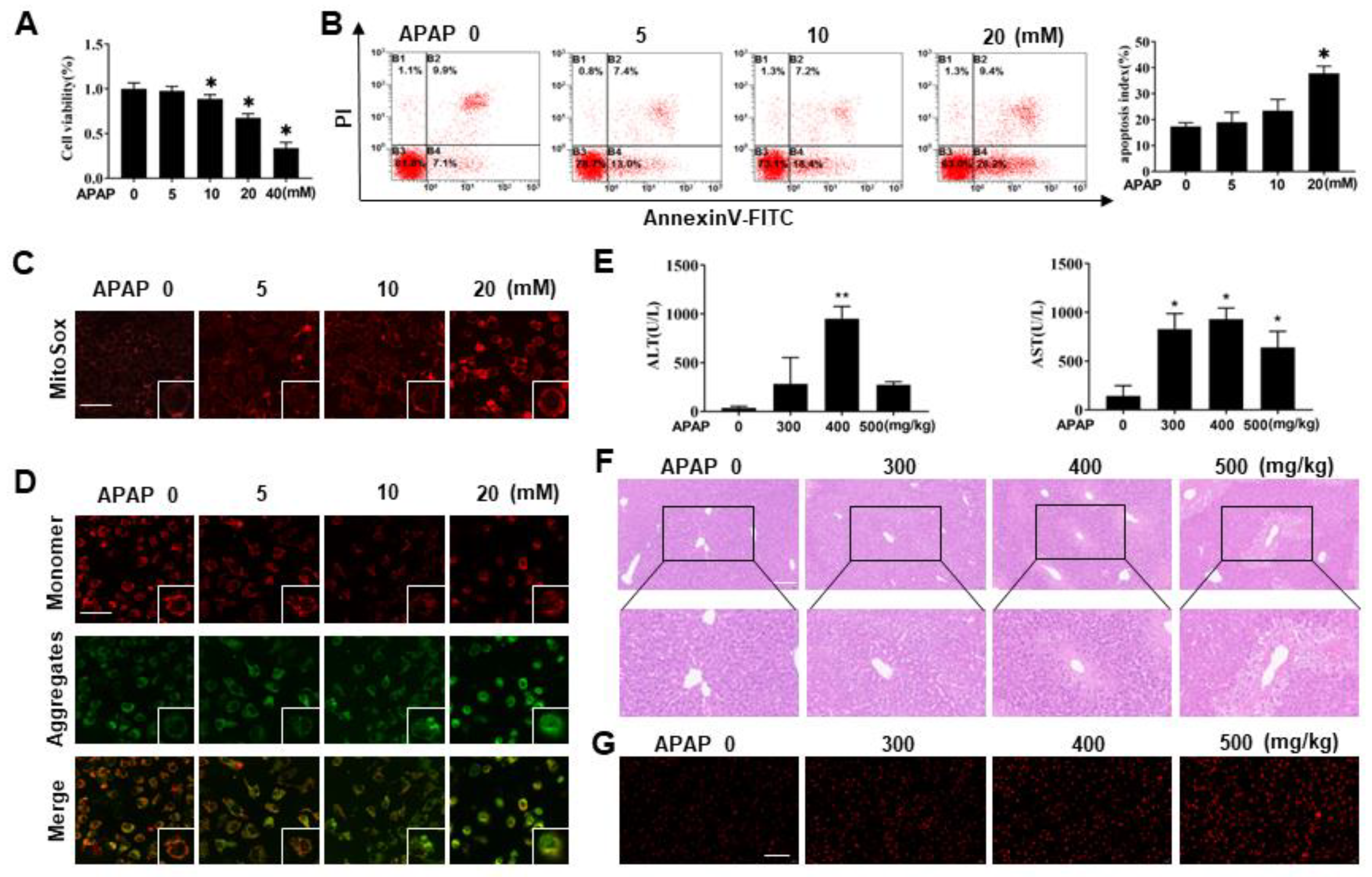 Antioxidants 11 02128 g001