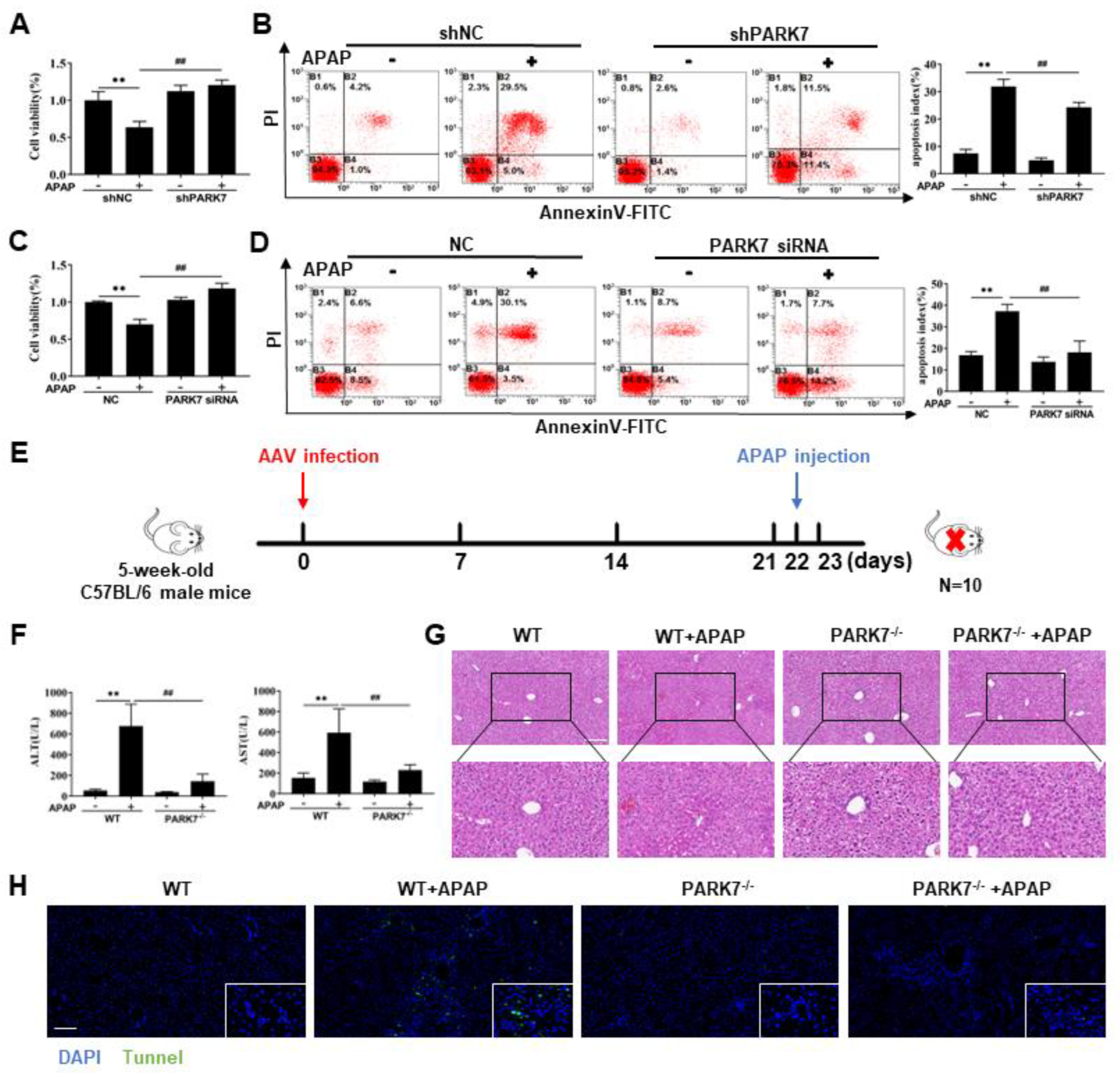 Antioxidants 11 02128 g003