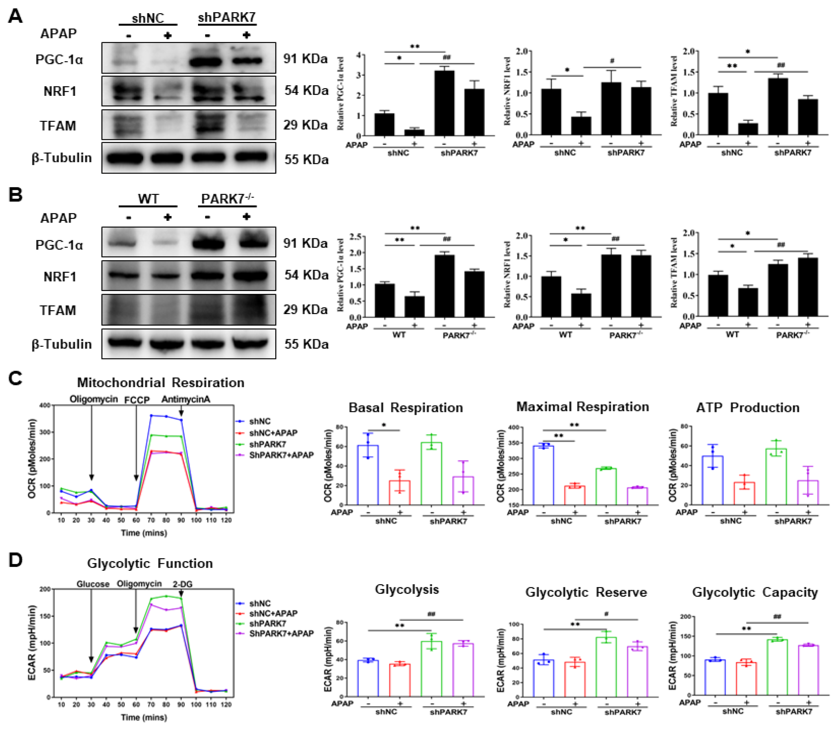 Antioxidants 11 02128 g006