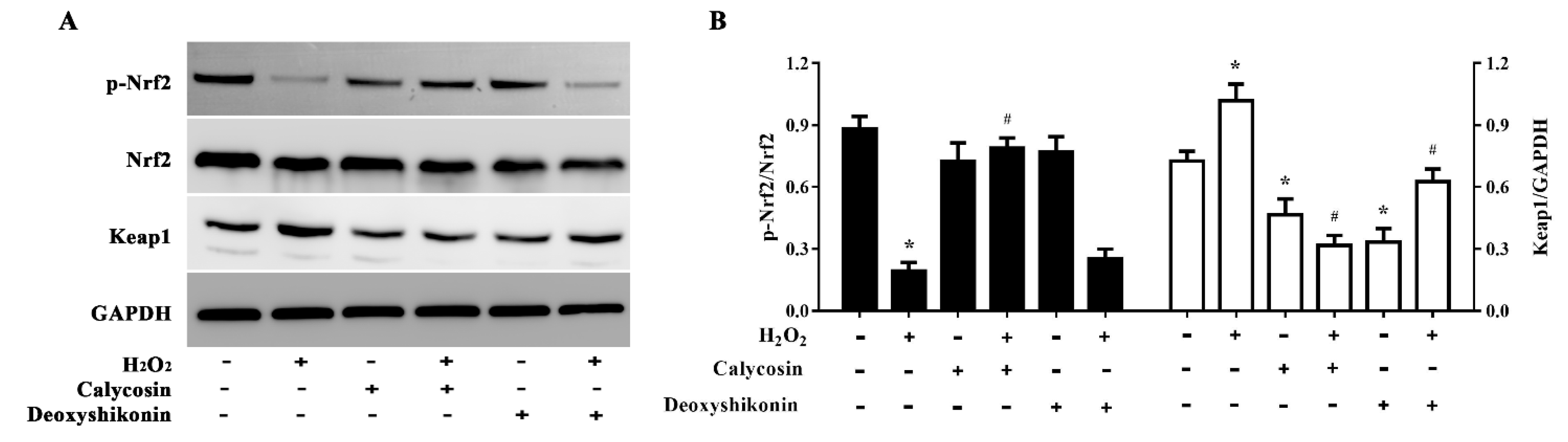 Antioxidants 11 02134 g008