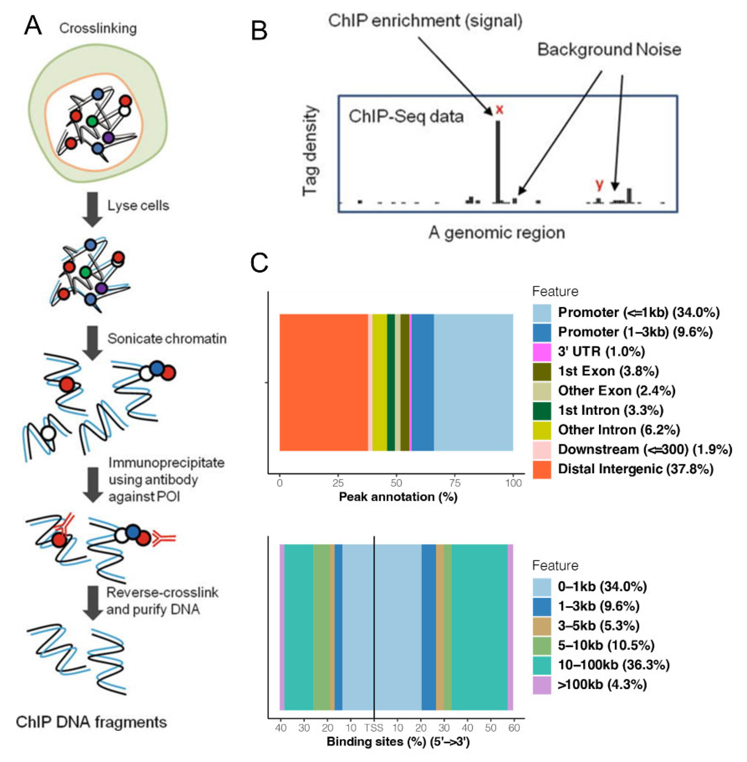 Antioxidants 11 02135 g001 Antioxidants 11 02135 g001