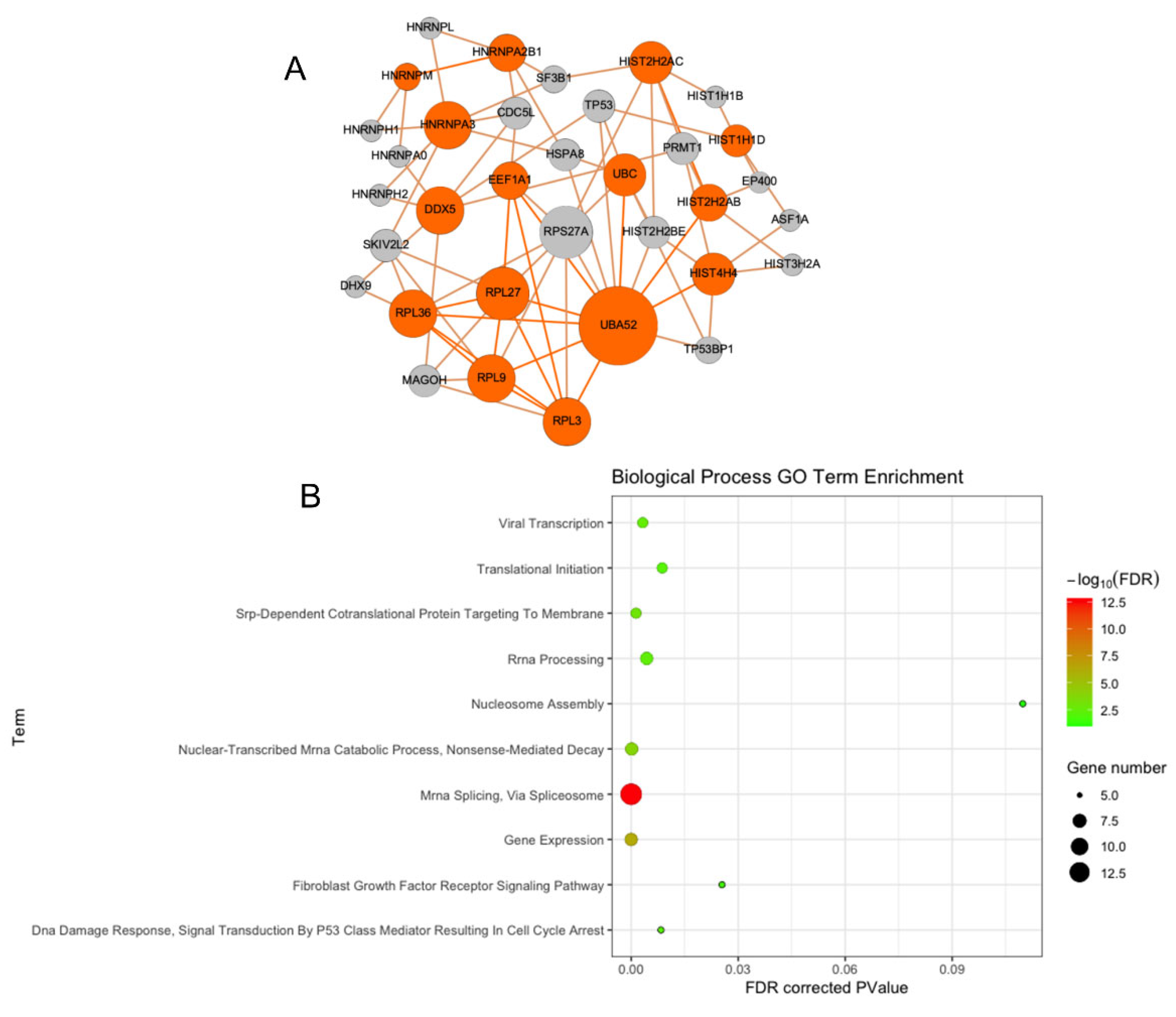 Antioxidants 11 02135 g003 Antioxidants 11 02135 g003