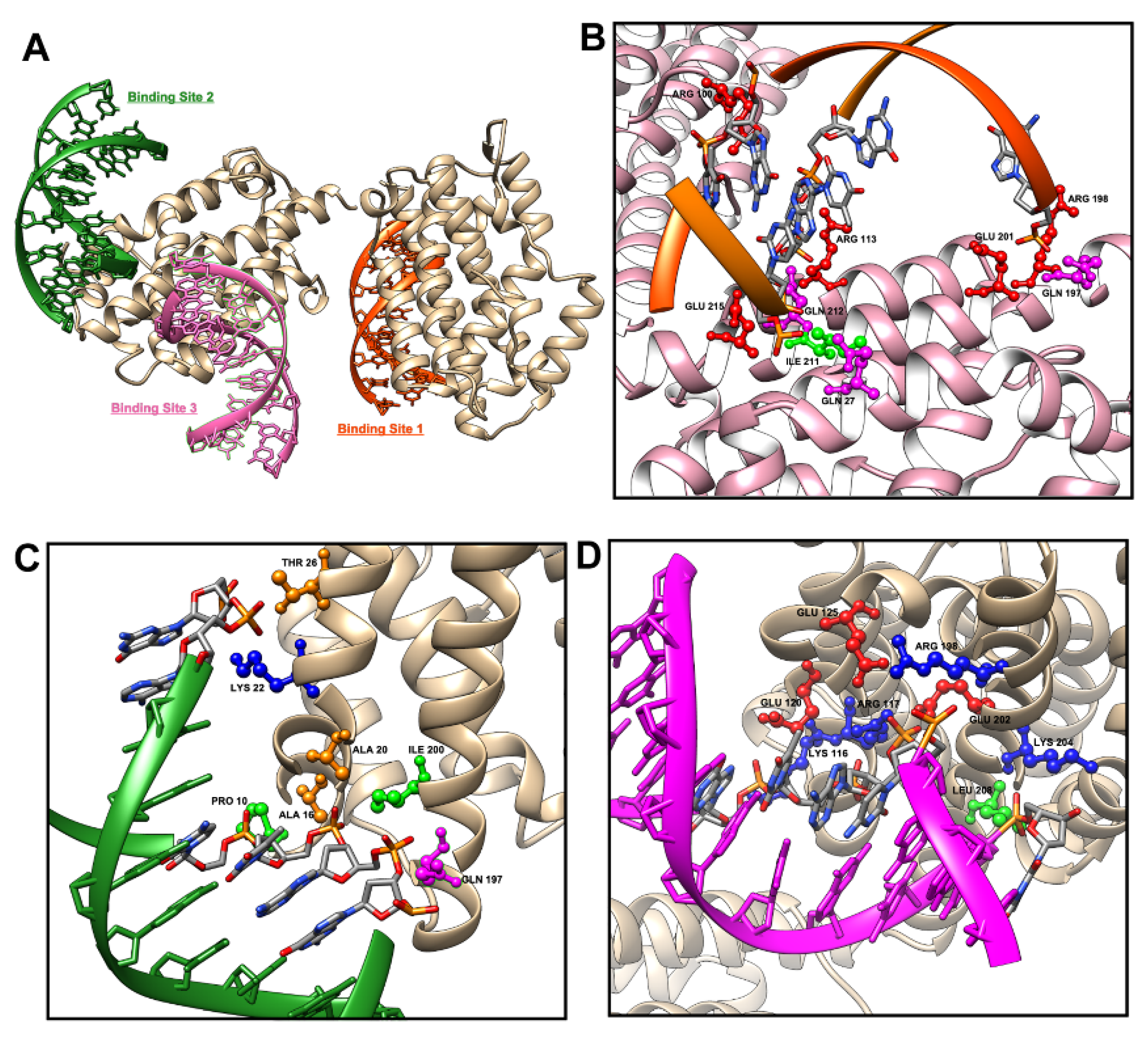 Antioxidants 11 02135 g004 Antioxidants 11 02135 g004