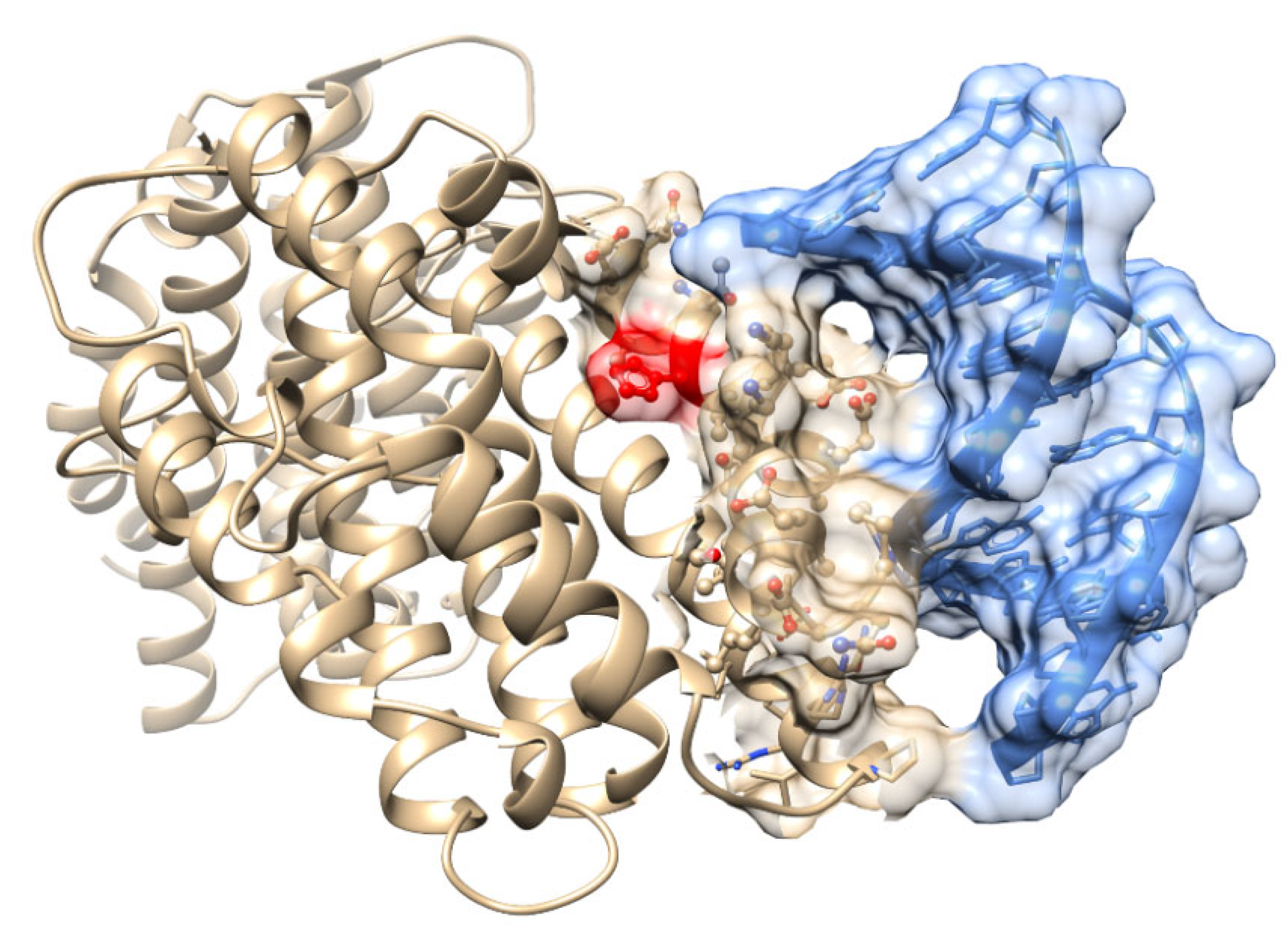 Antioxidants 11 02135 g005 Antioxidants 11 02135 g005