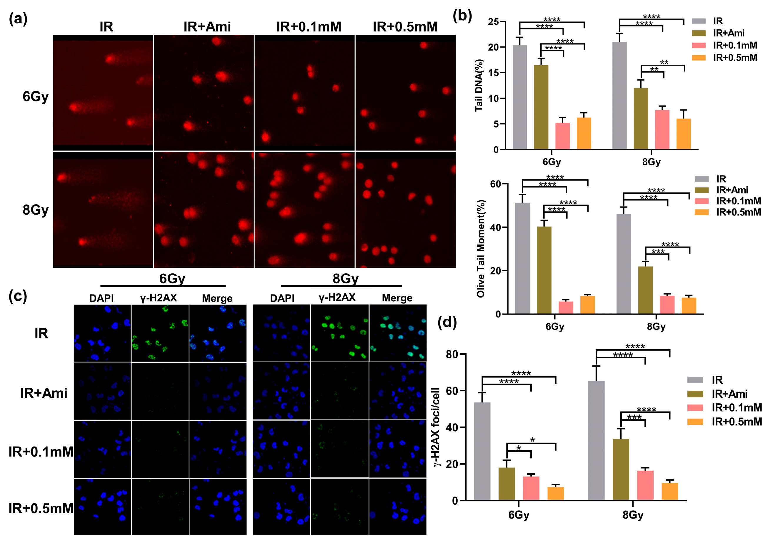 Antioxidants 11 02145 g005