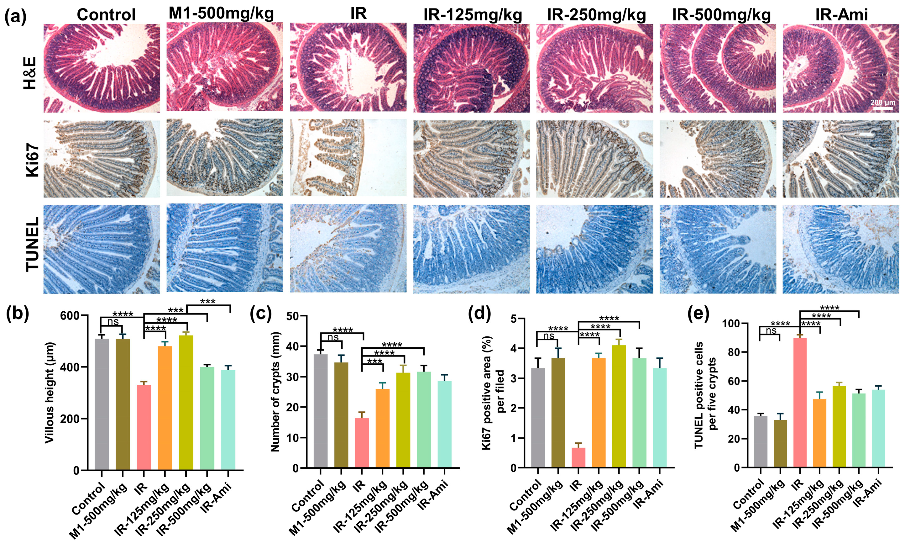 Antioxidants 11 02145 g007