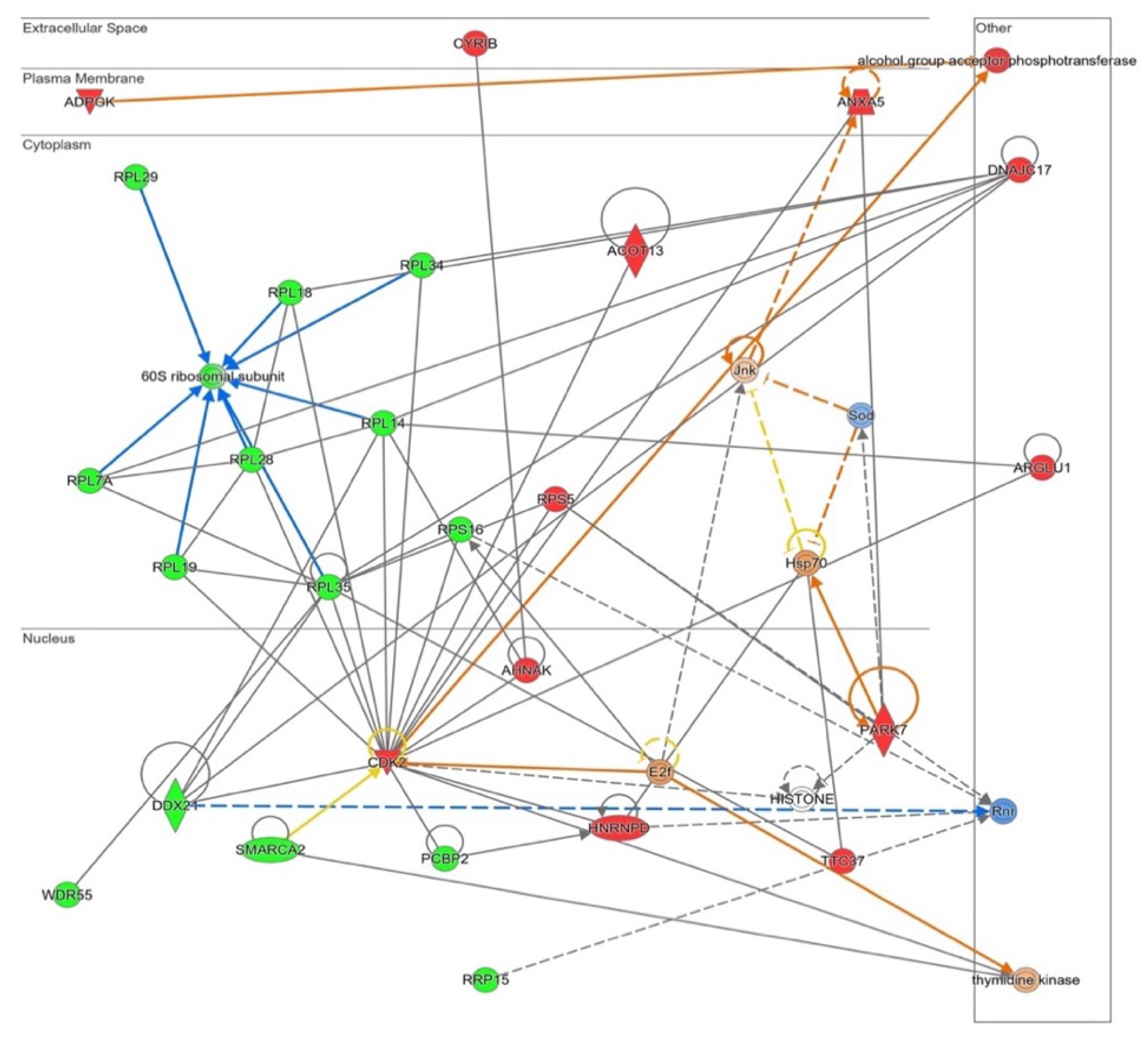 Antioxidants 11 02147 g006