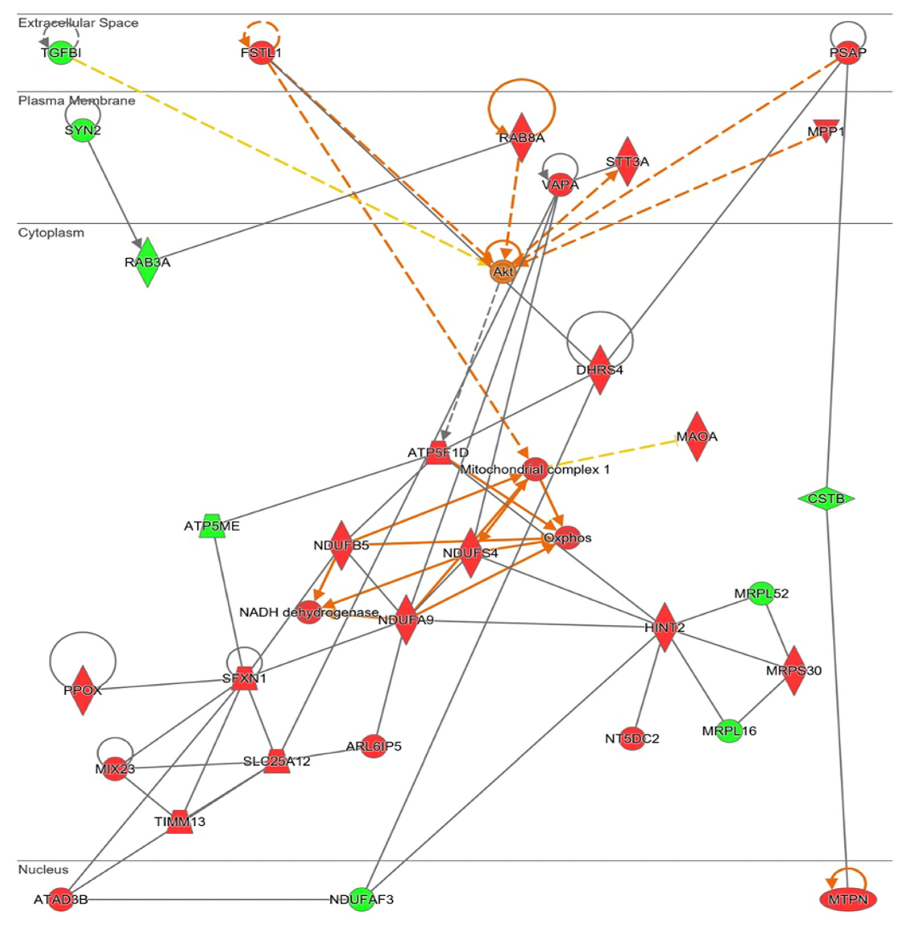Antioxidants 11 02147 g008