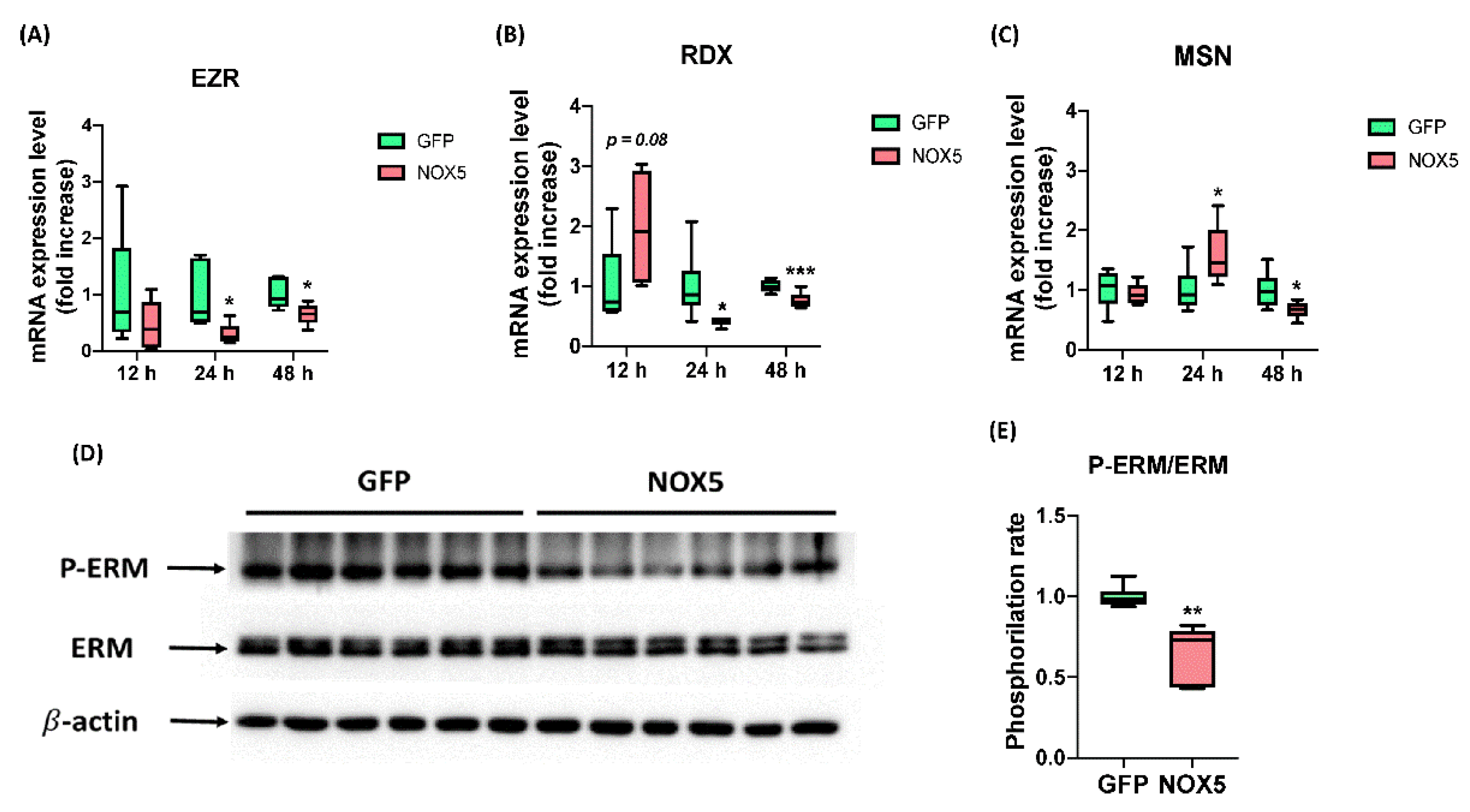 Antioxidants 11 02147 g012