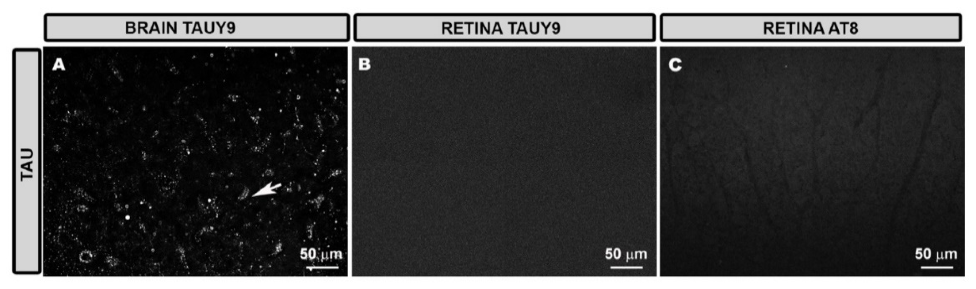 Antioxidants 11 02151 g001