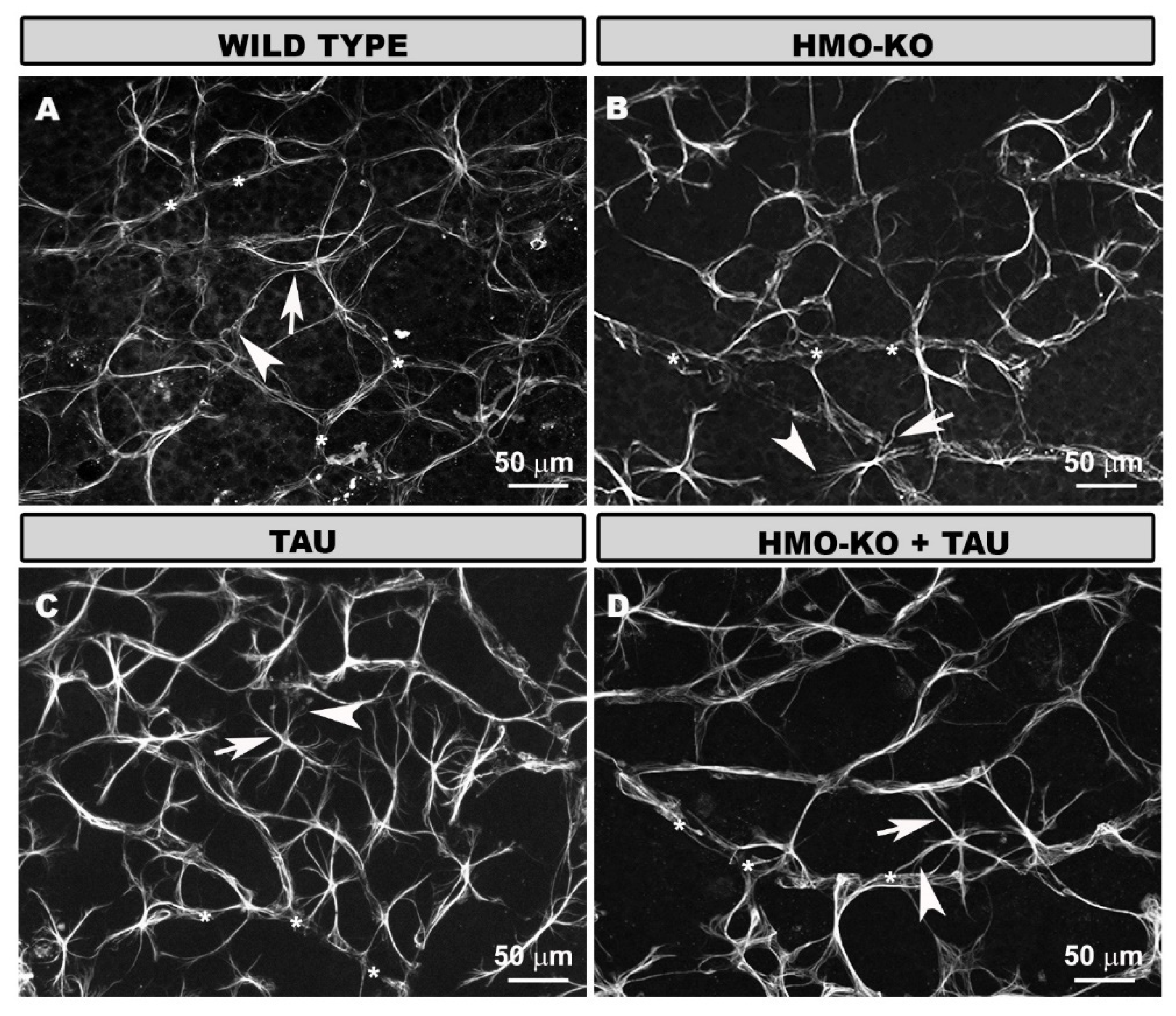 Antioxidants 11 02151 g009