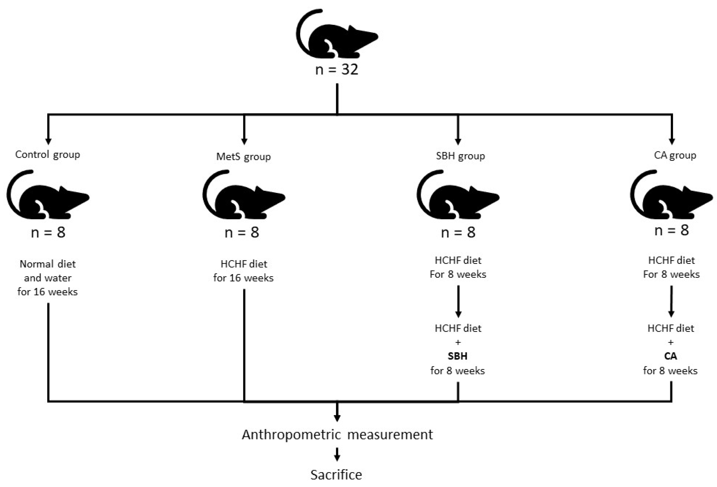 Antioxidants 11 02154 g001 Antioxidants 11 02154 g001